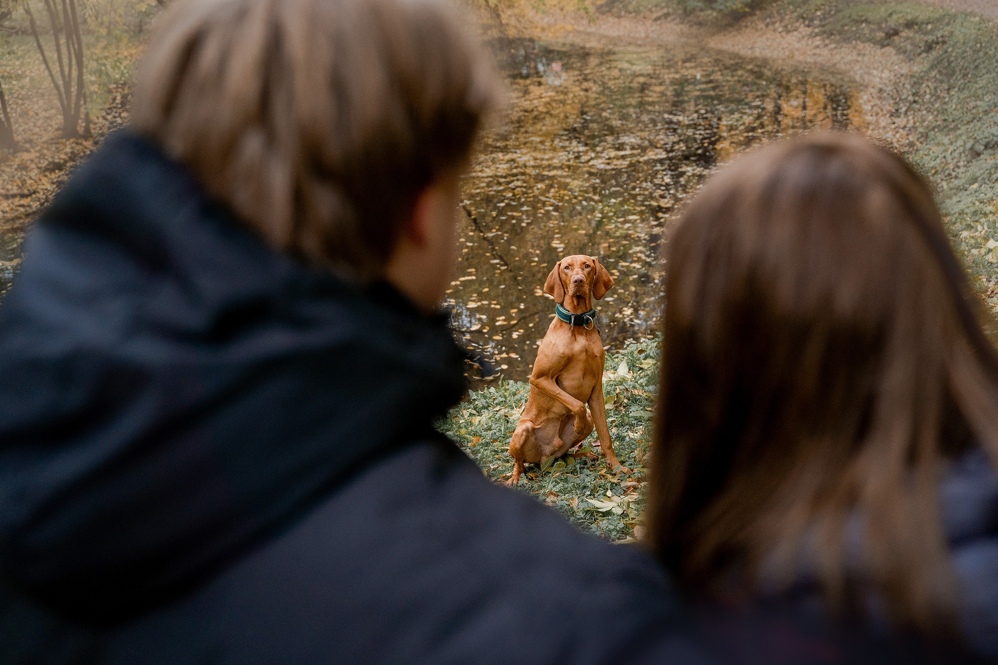 Я и Мой питомец. Анна Войнова семейный фотограф в Санкт-Петербурге