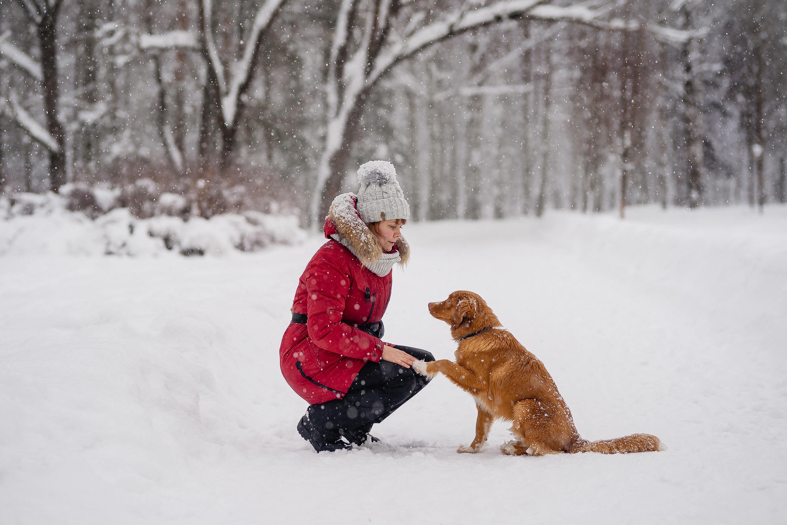 Я и Мой питомец. Анна Войнова семейный фотограф в Санкт-Петербурге