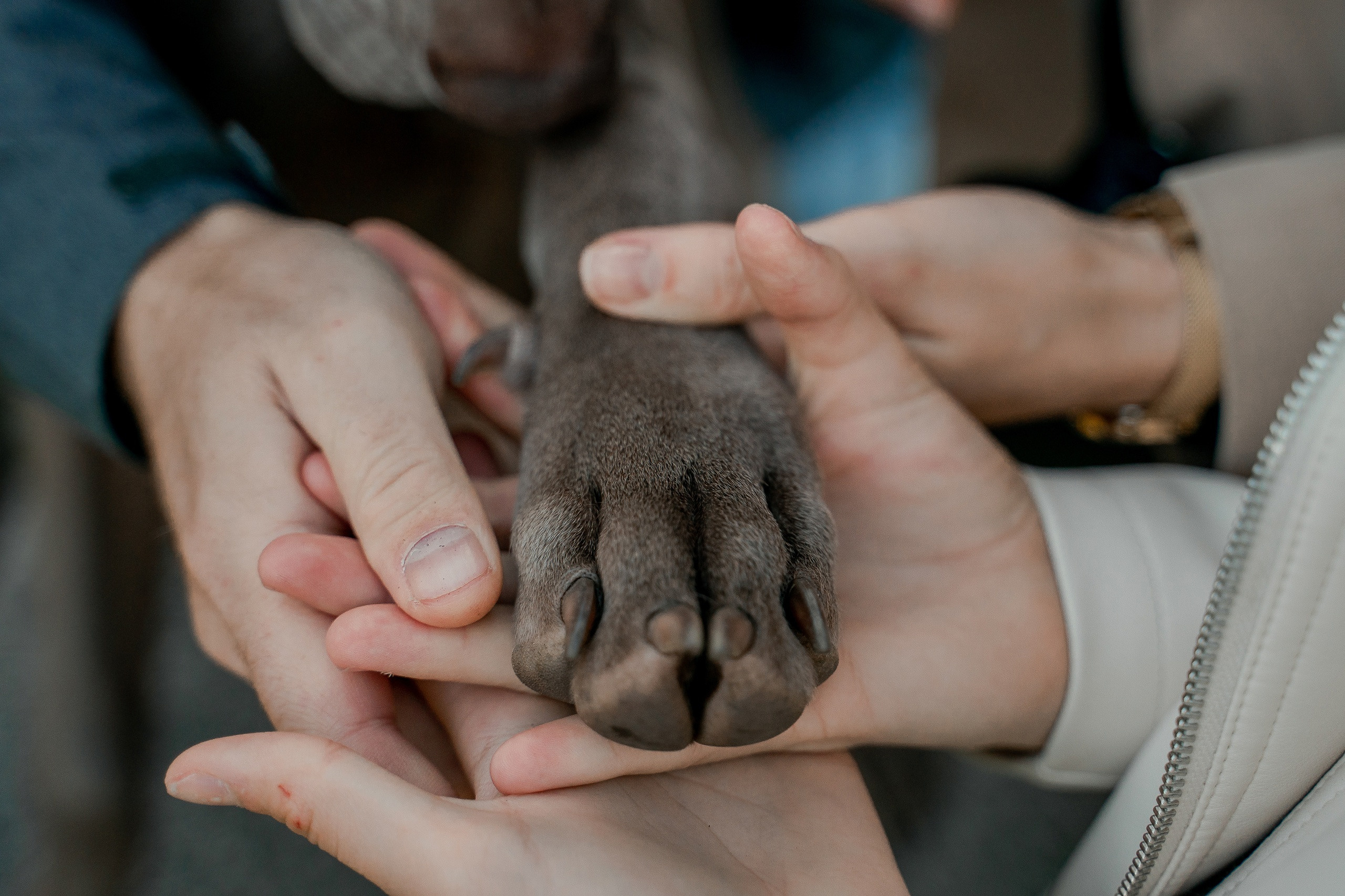 Я и Мой питомец. Анна Войнова семейный фотограф в Санкт-Петербурге