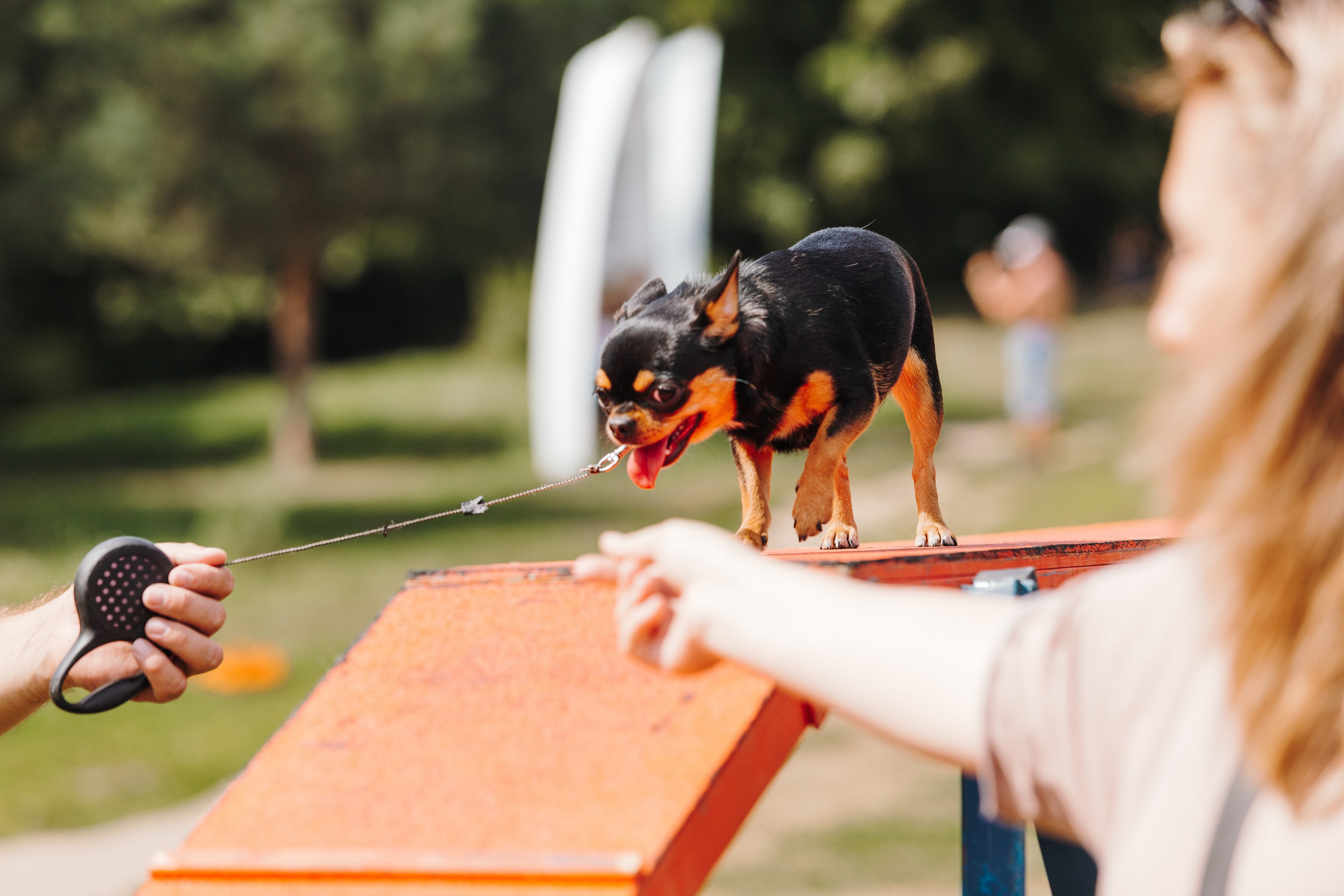 Petshop Sup day. Фотограф анималист Кристина Карпова, Москва