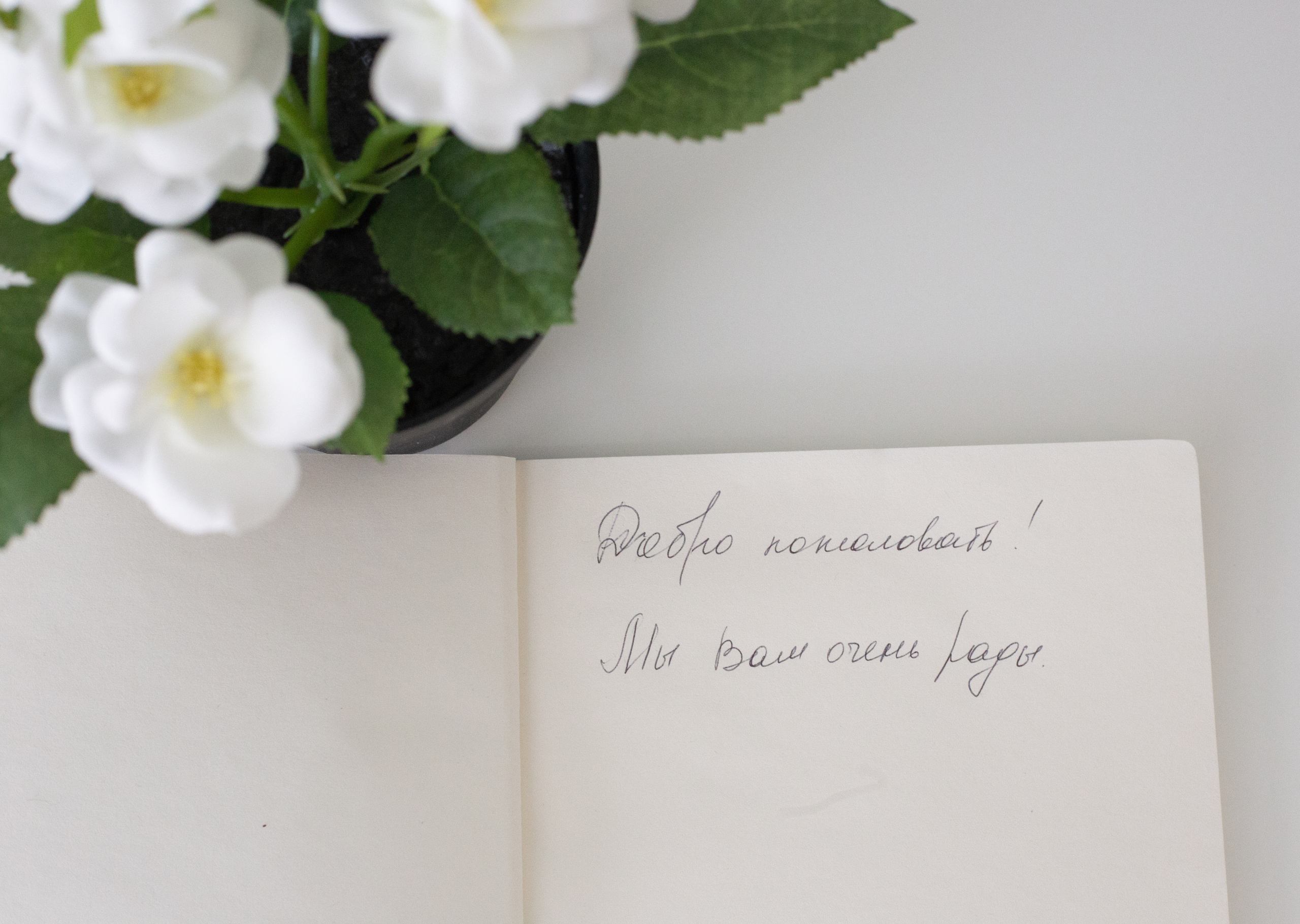 Посуточно на 26 линии. Полина Носкова интерьерный фотограф