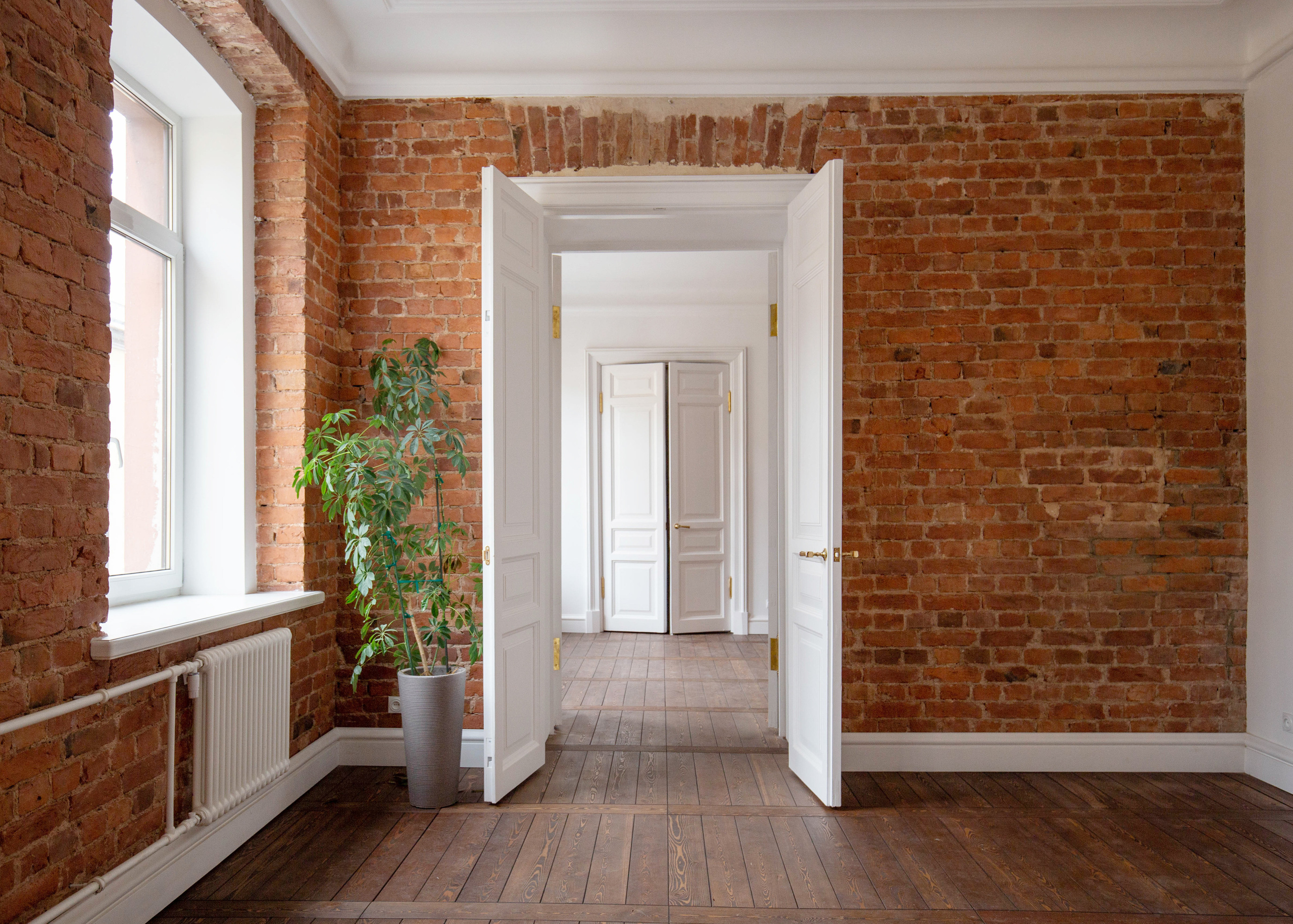 Жить на Моховой. Полина Носкова интерьерный фотограф