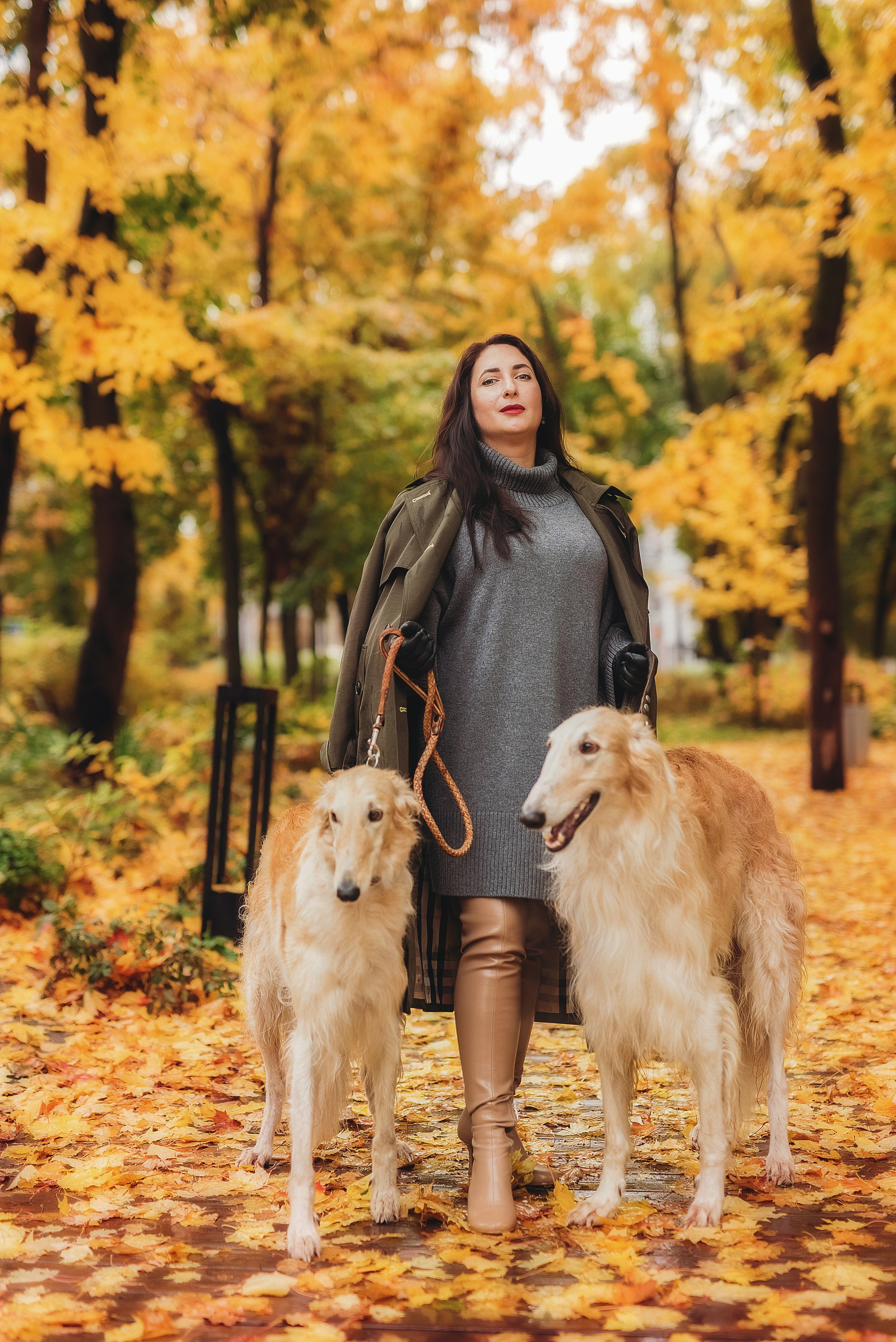 Фотосессия с борзыми. Семейный, детский фотограф в Воронеже Анна Никитина