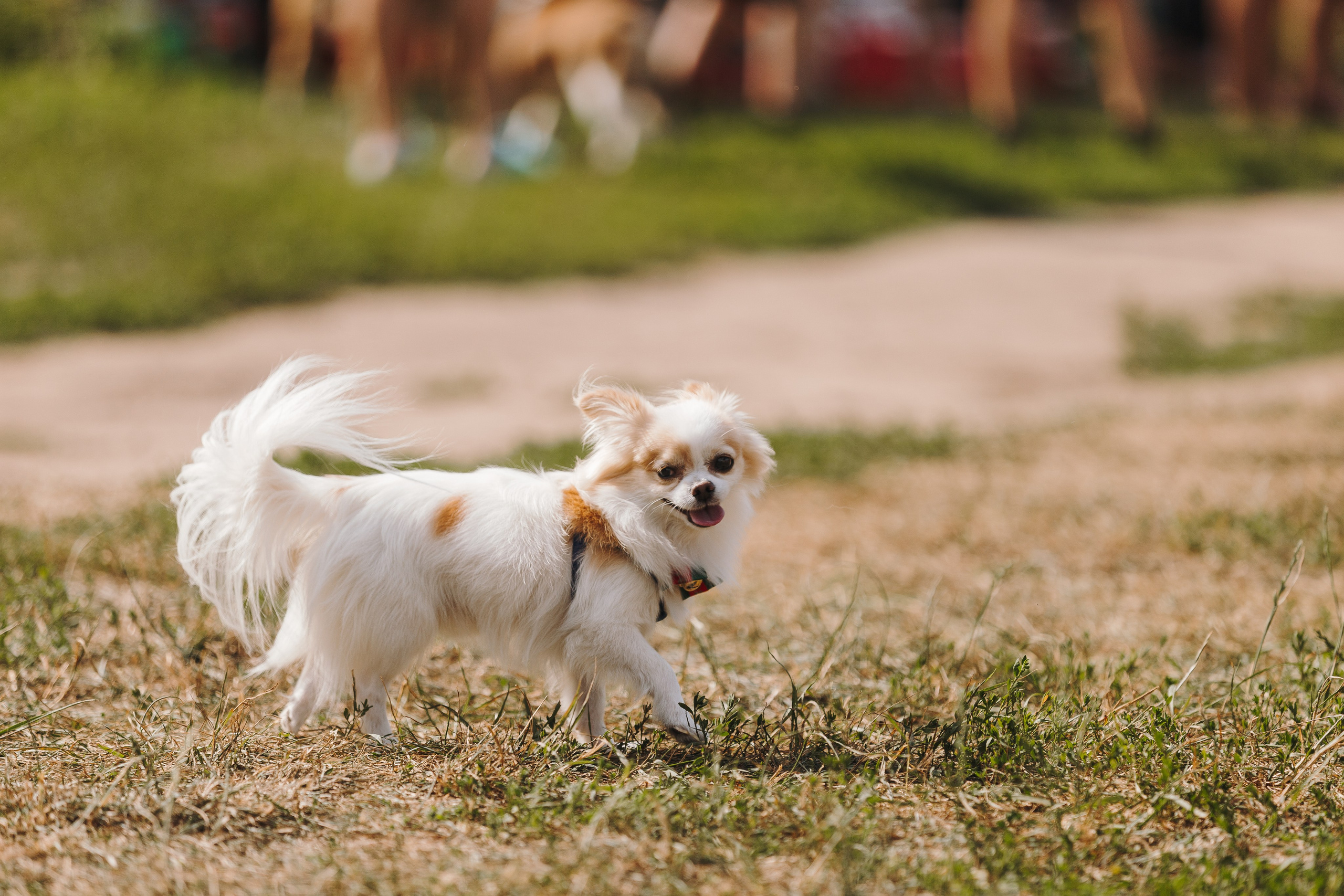 Petshop Sup day. Фотограф анималист Кристина Карпова, Москва