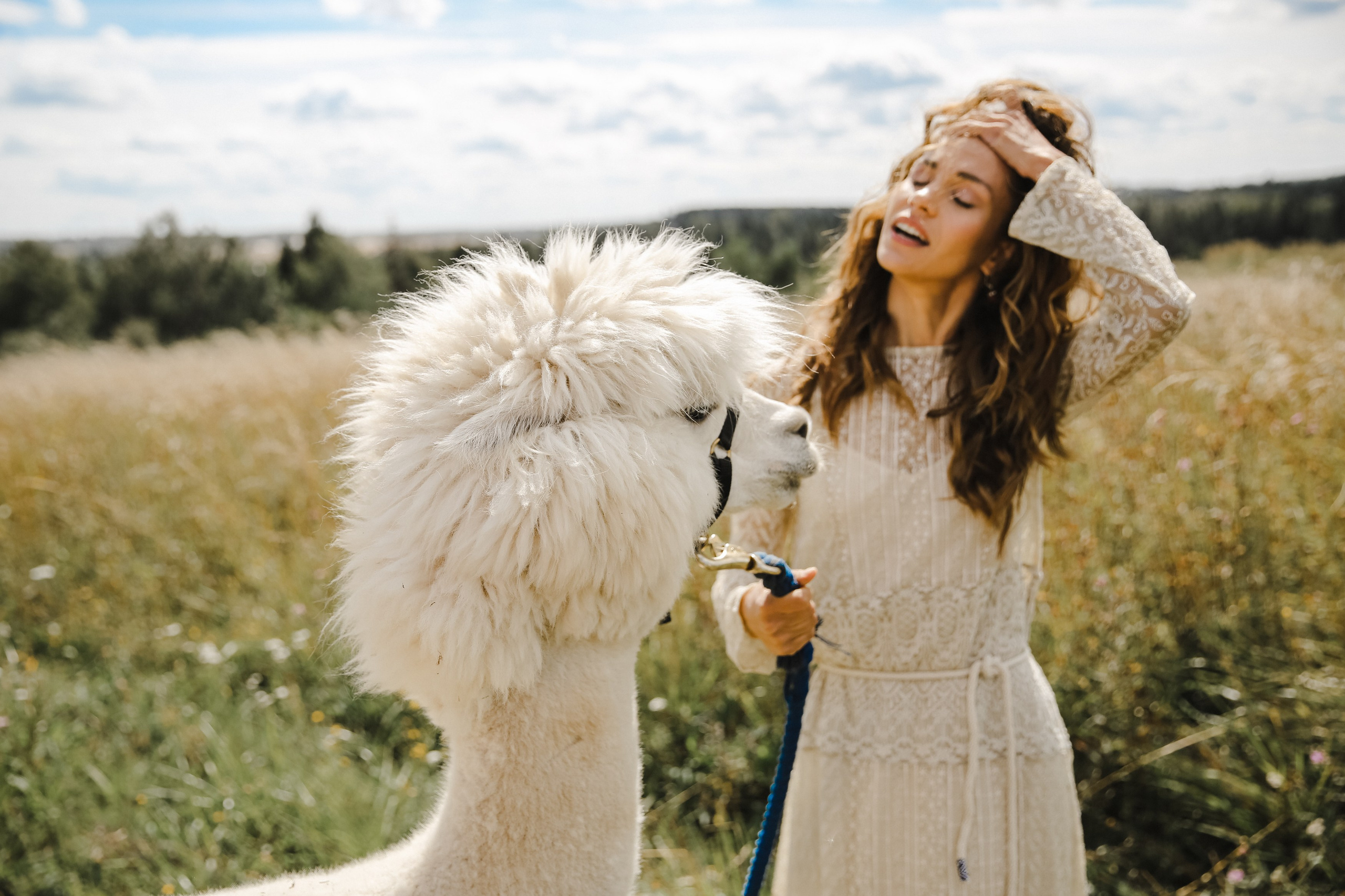 Ферма Альпаков Подмосковье. Фотограф и видеограф Анна Домашенко