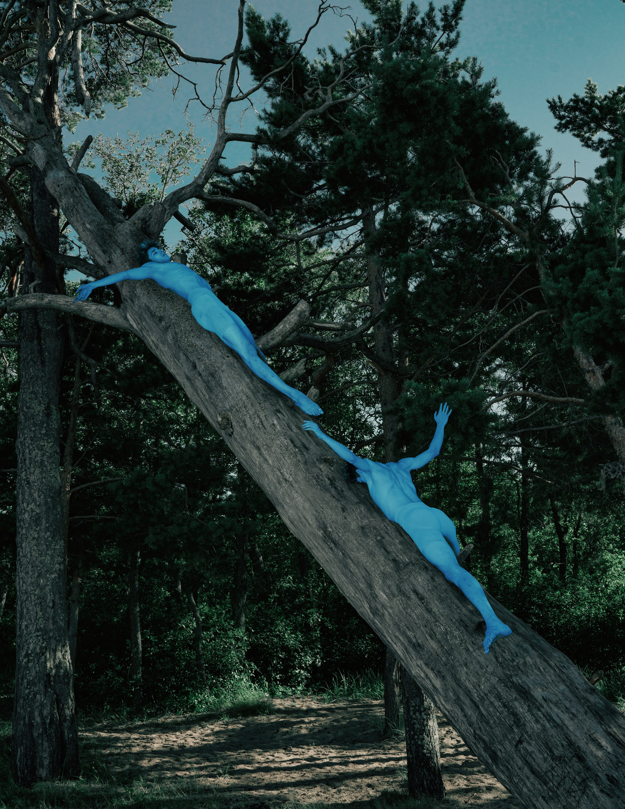 Вне серий. Художественная фотография в Санкт-Петербурге Алина Берёзкина