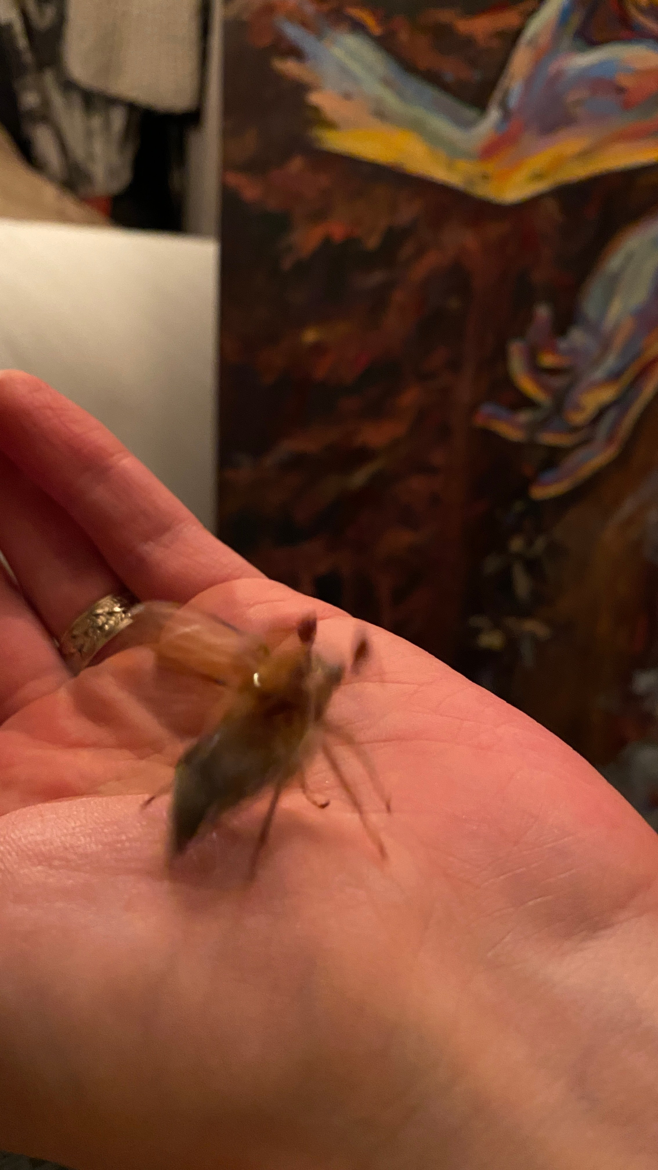 Чайная картина. Саша Гдетотам