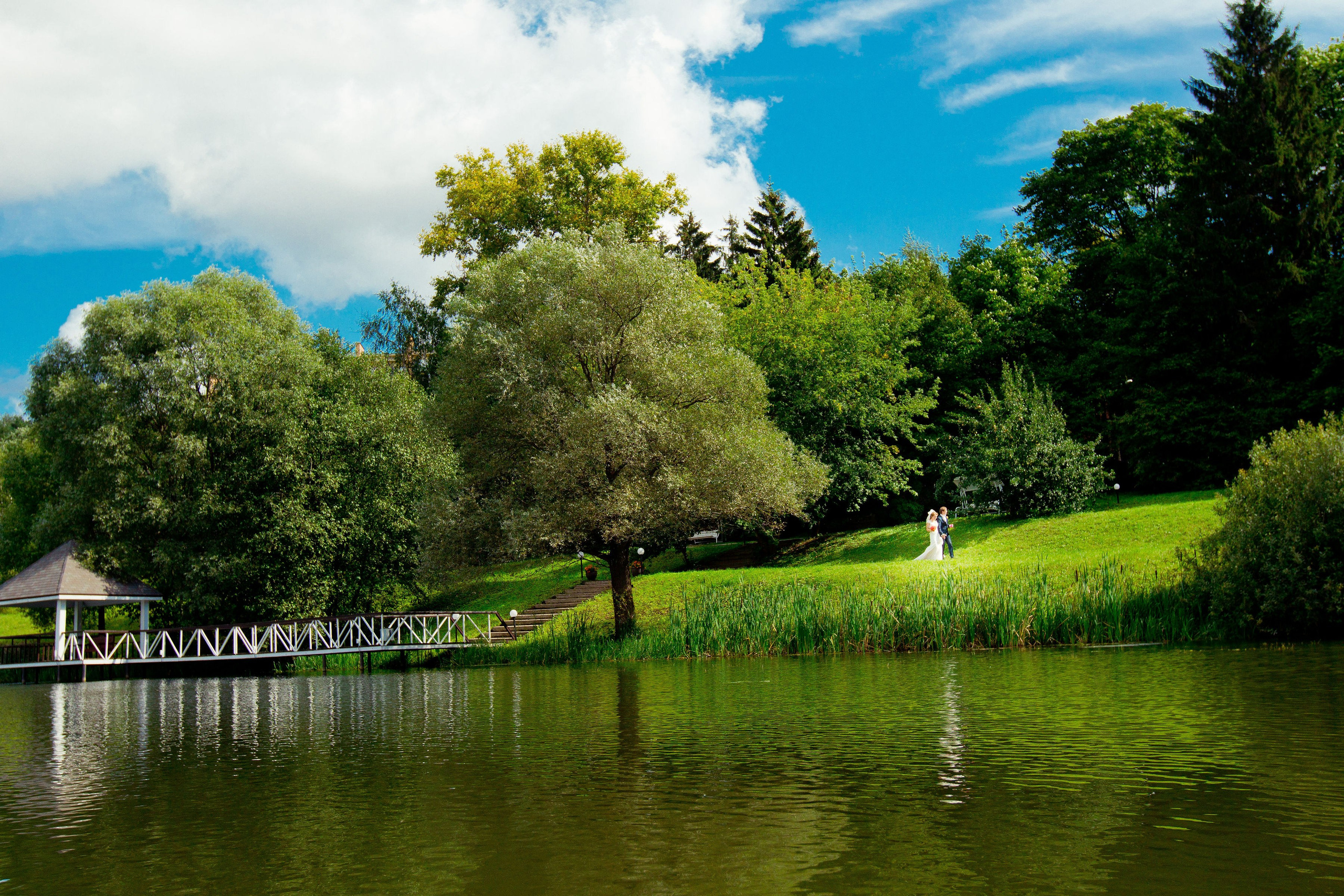 Свадьбы. Фотограф Алексей Архангельский