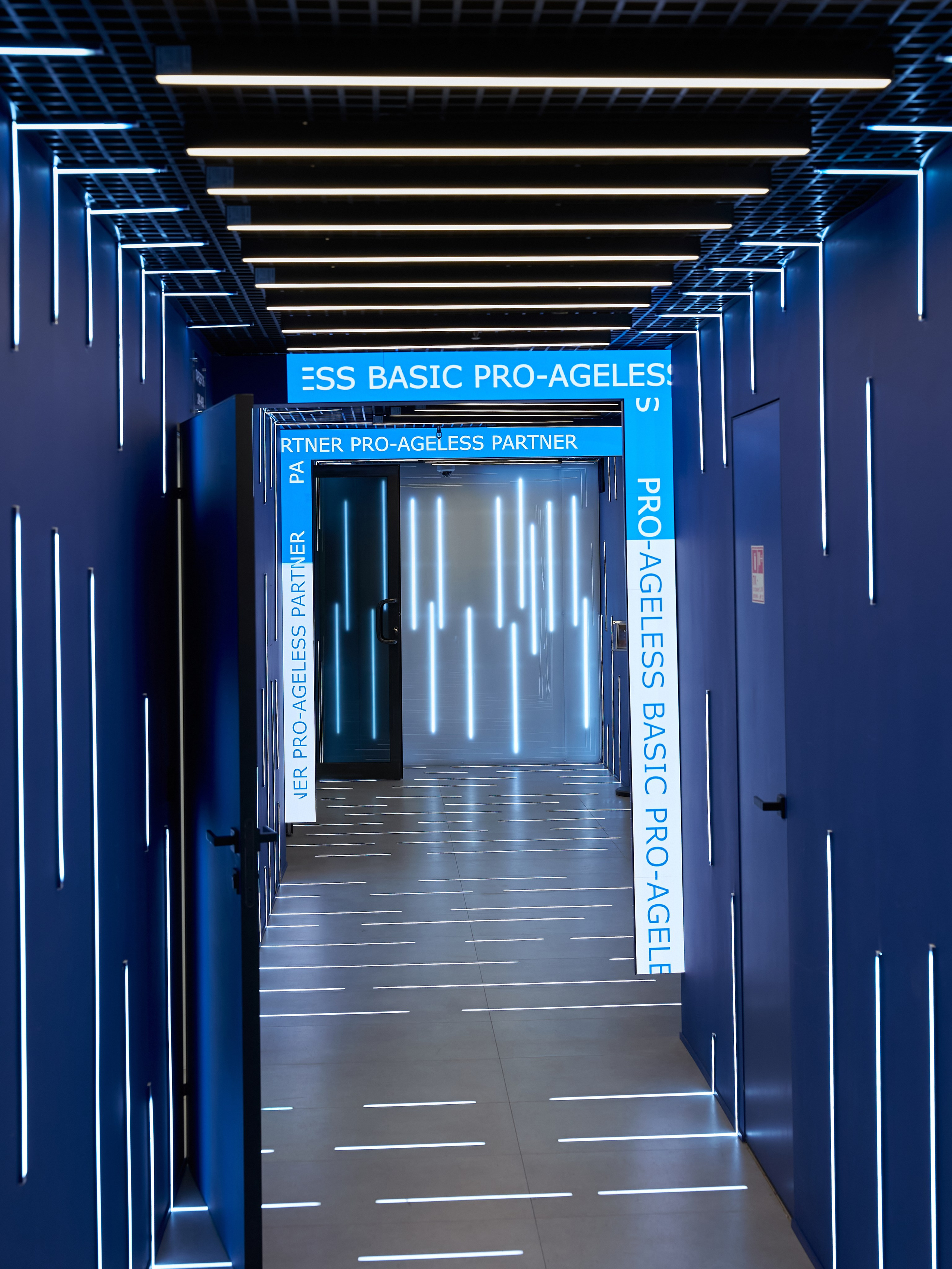 РАЗНОЕ. PRO-AGELESS