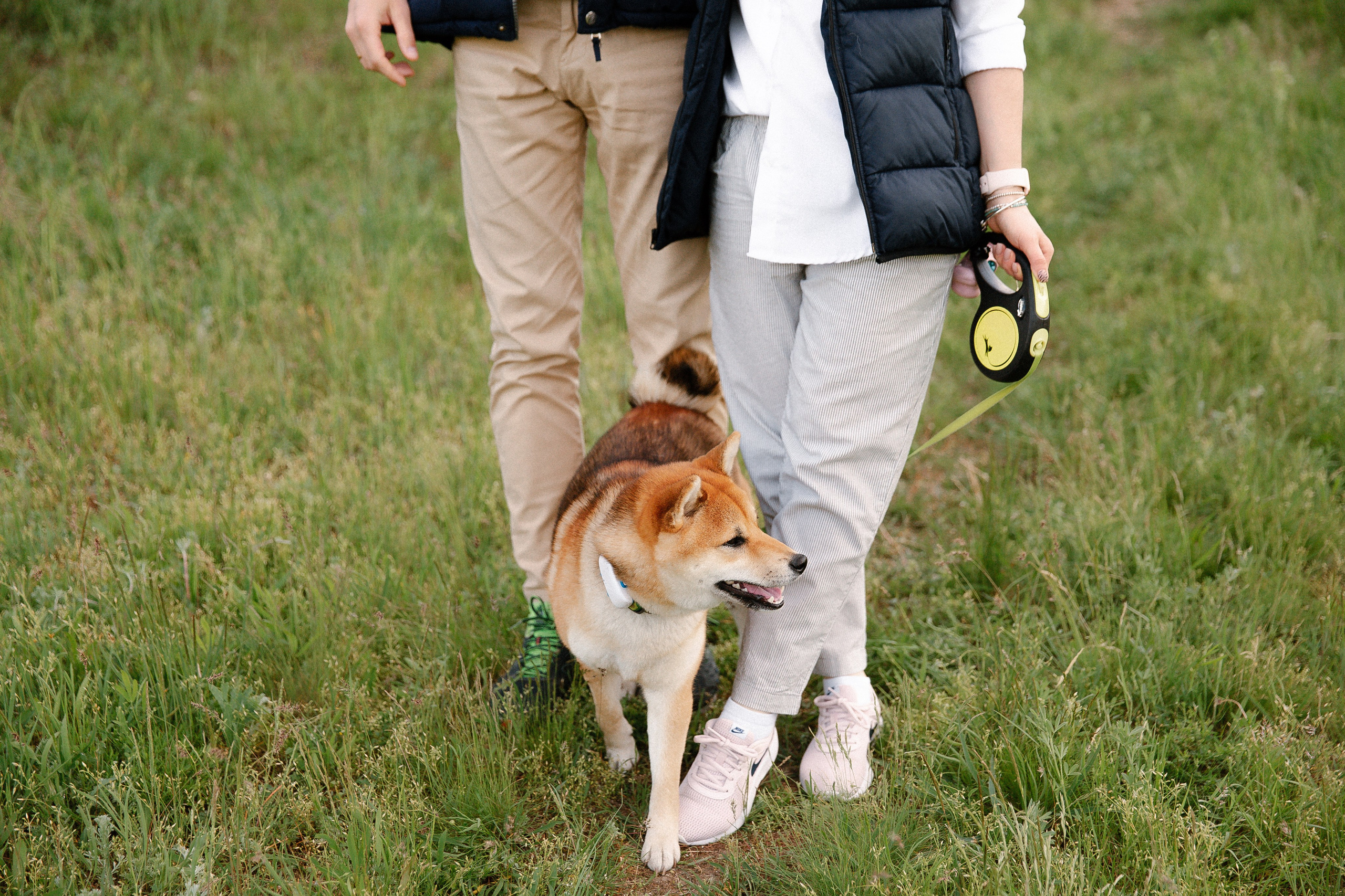 Семейная фотосъемка с собакой. Свадебный фотограф и видеограф Краснодар, Ростов, Сочи, Новороссийск