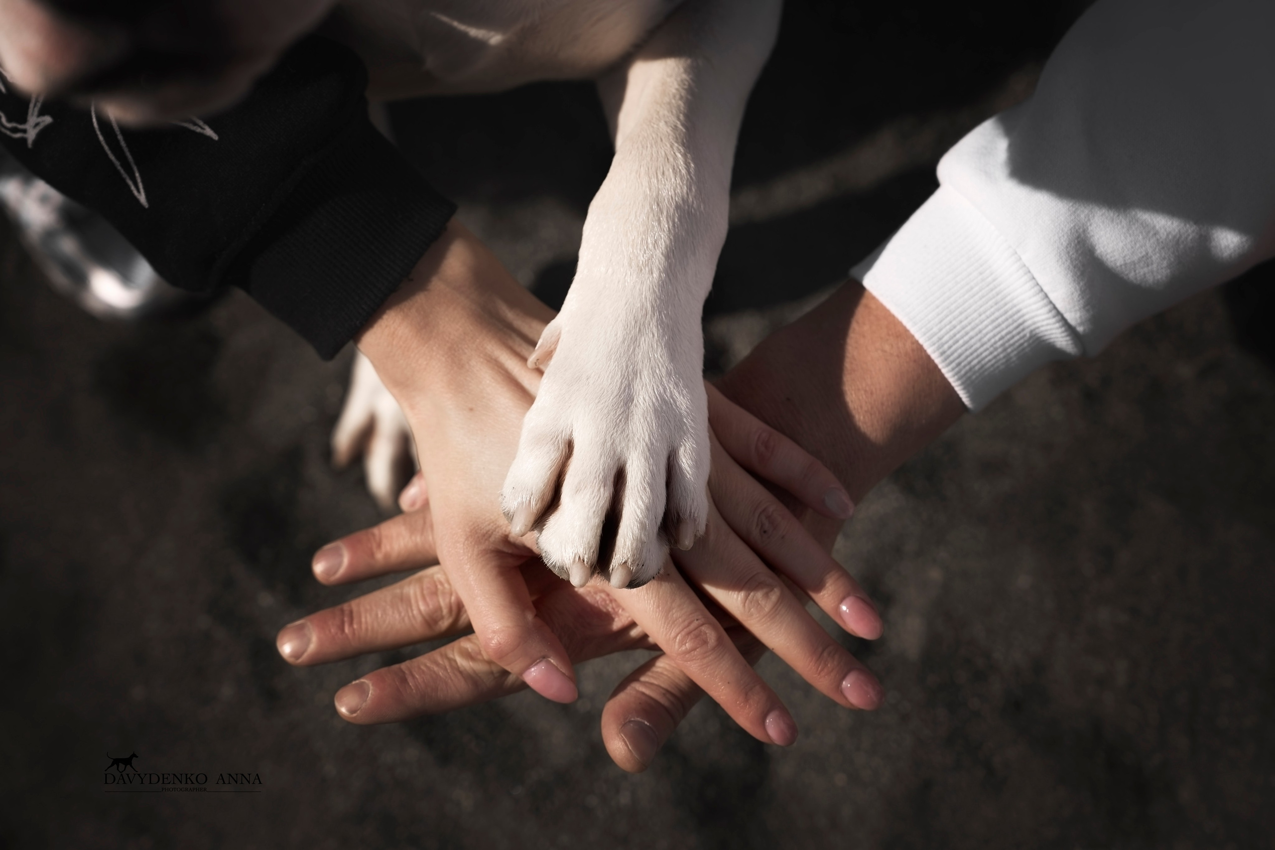 семейная фотосессия в Краснодаре 