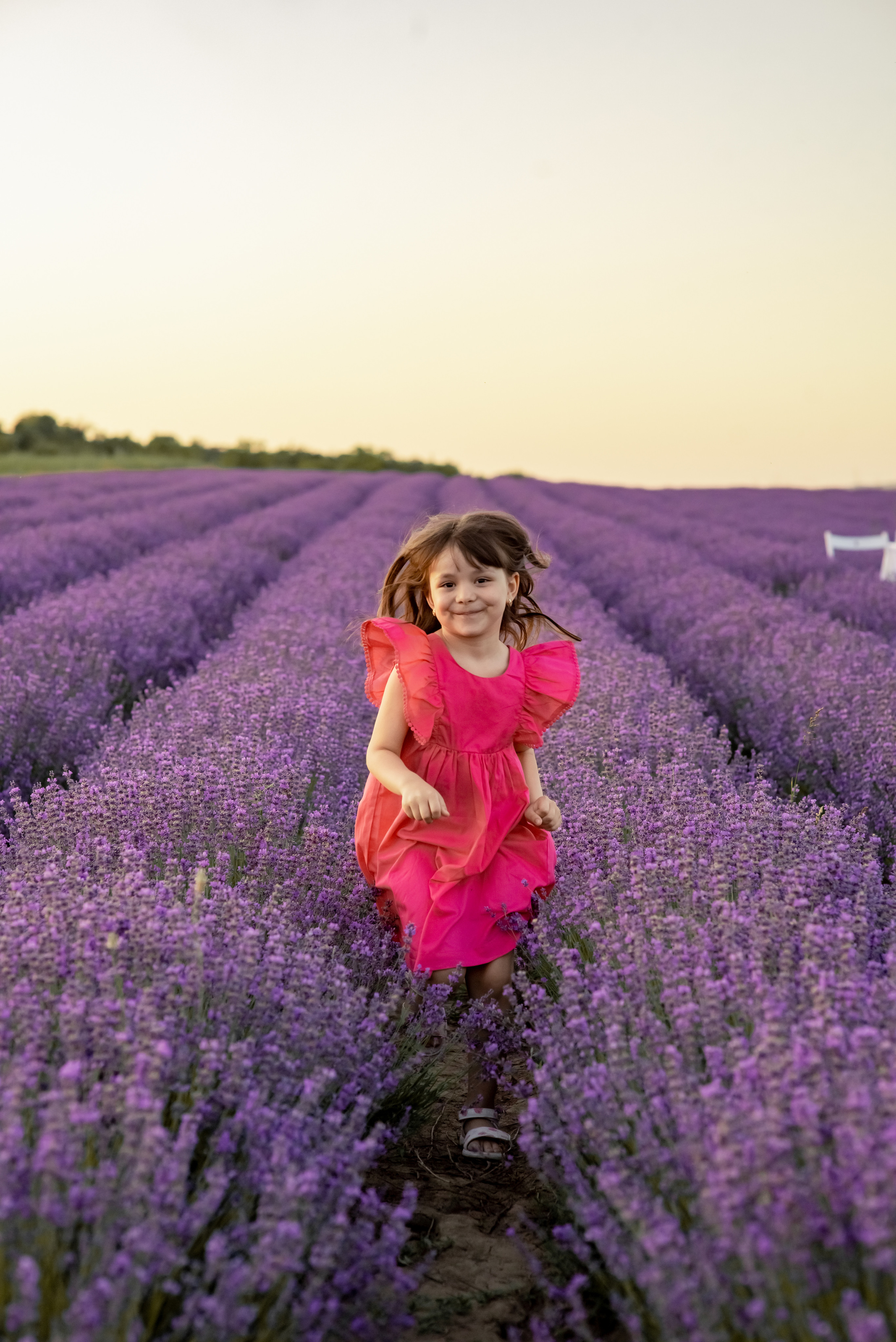 ЛАВАНДА 2022. Свадебный фотограф в Крыму