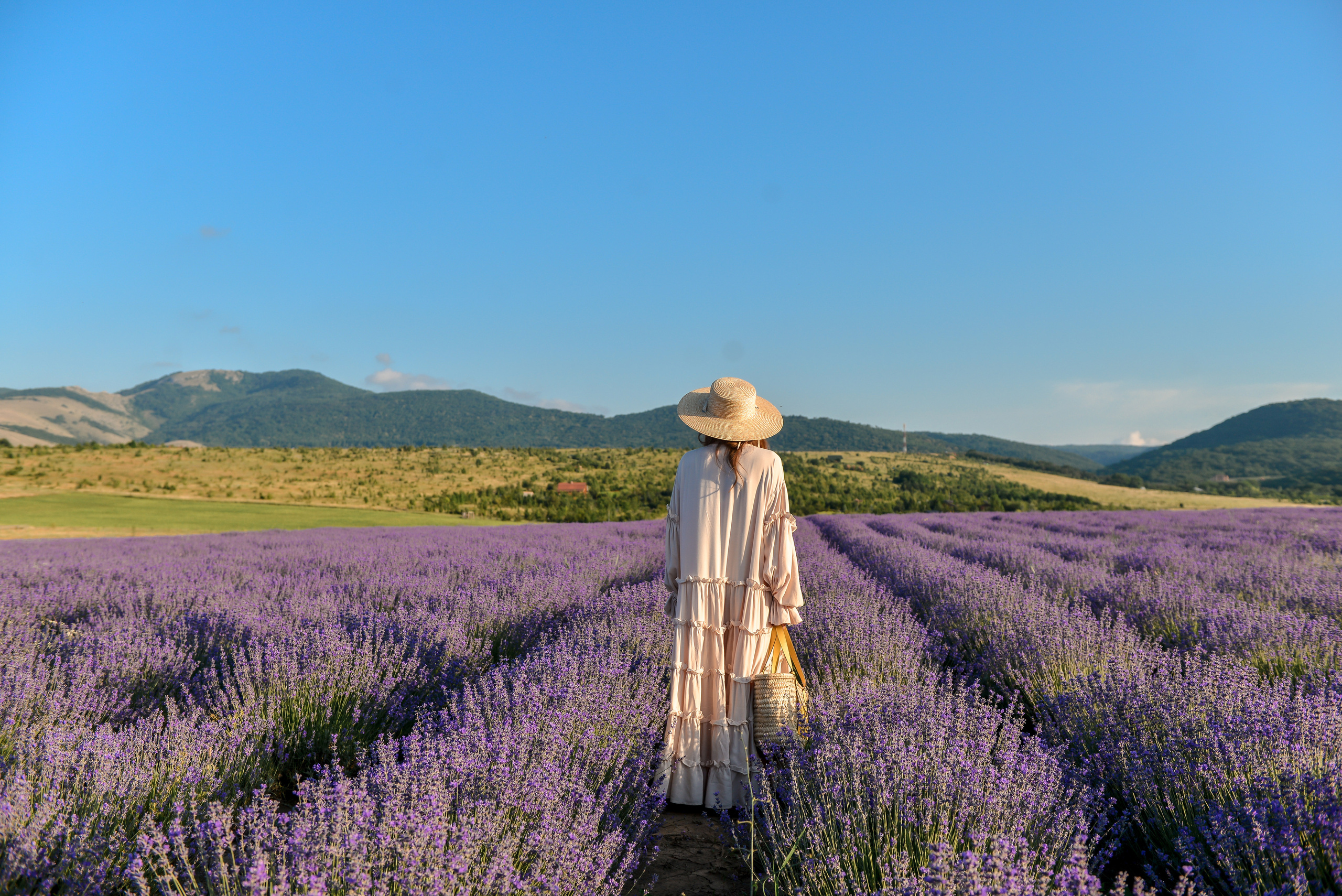 ЛАВАНДА 2022. Свадебный фотограф в Крыму