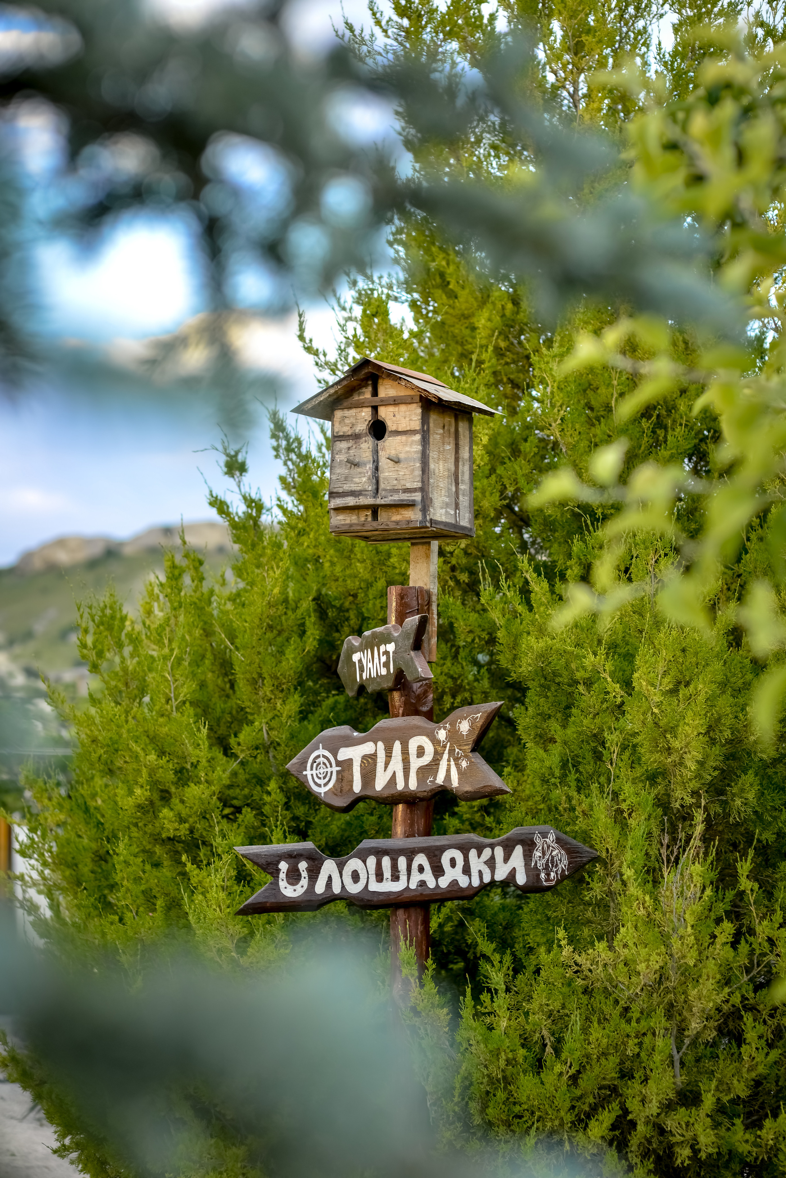 Пейзажи Крыма. Свадебный фотограф в Крыму