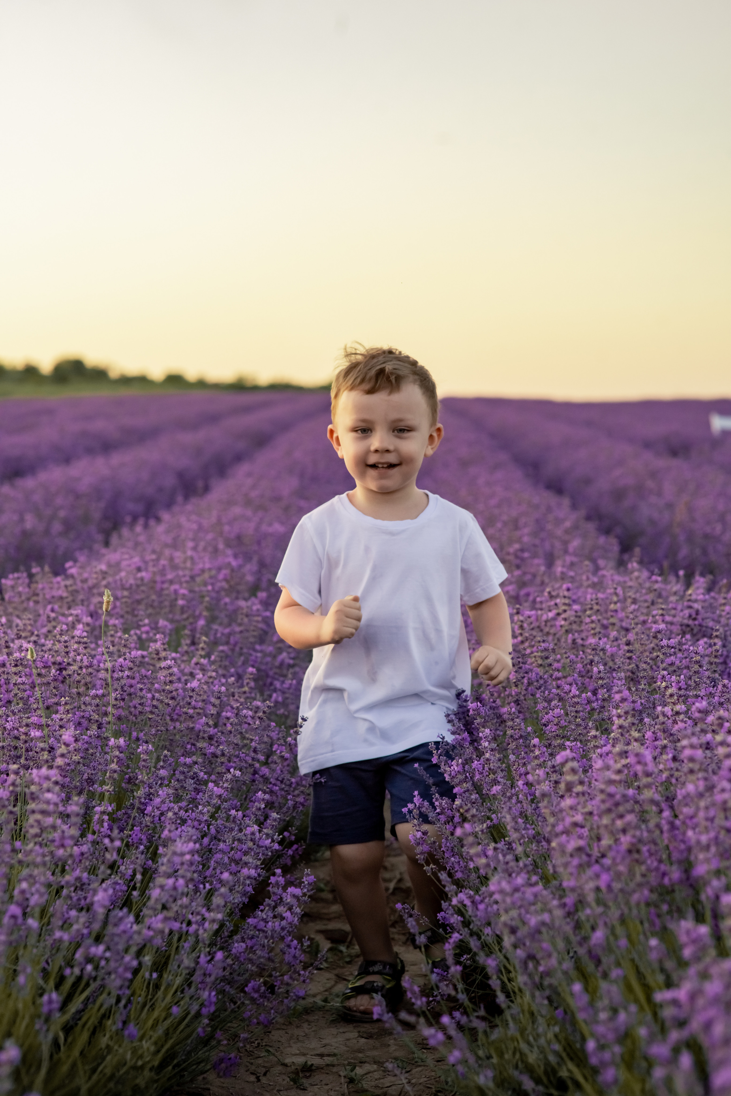 ЛАВАНДА 2022. Свадебный фотограф в Крыму