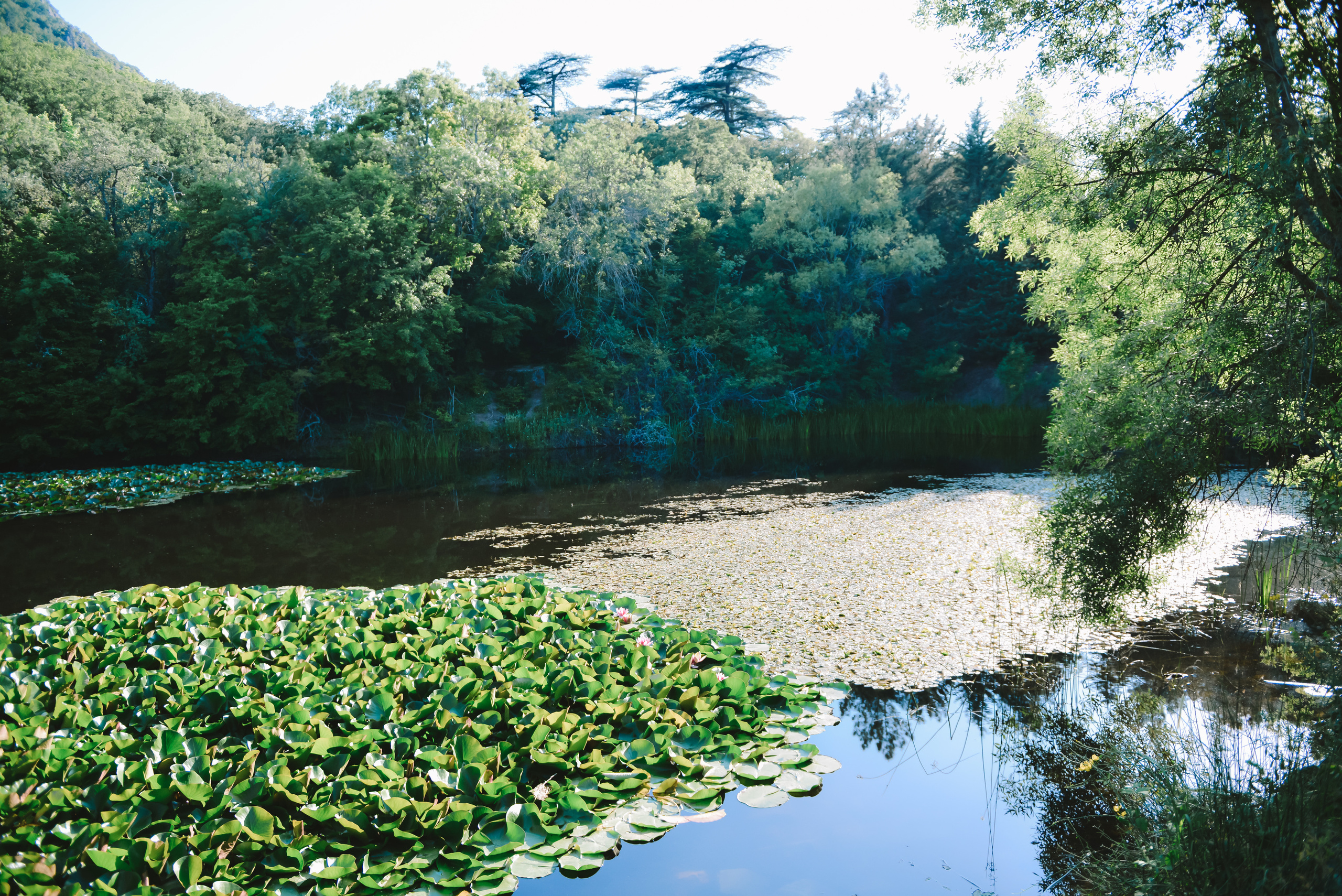 Пейзажи Крыма. Свадебный фотограф в Крыму