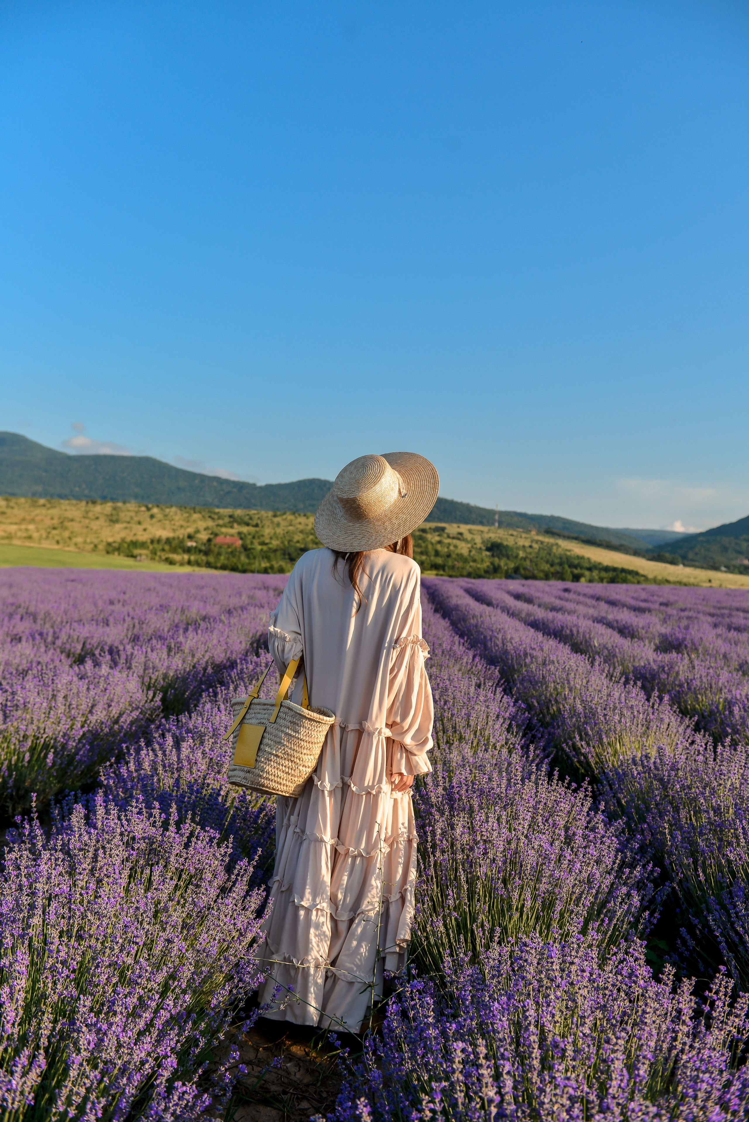 ЛАВАНДА 2022. Свадебный фотограф в Крыму