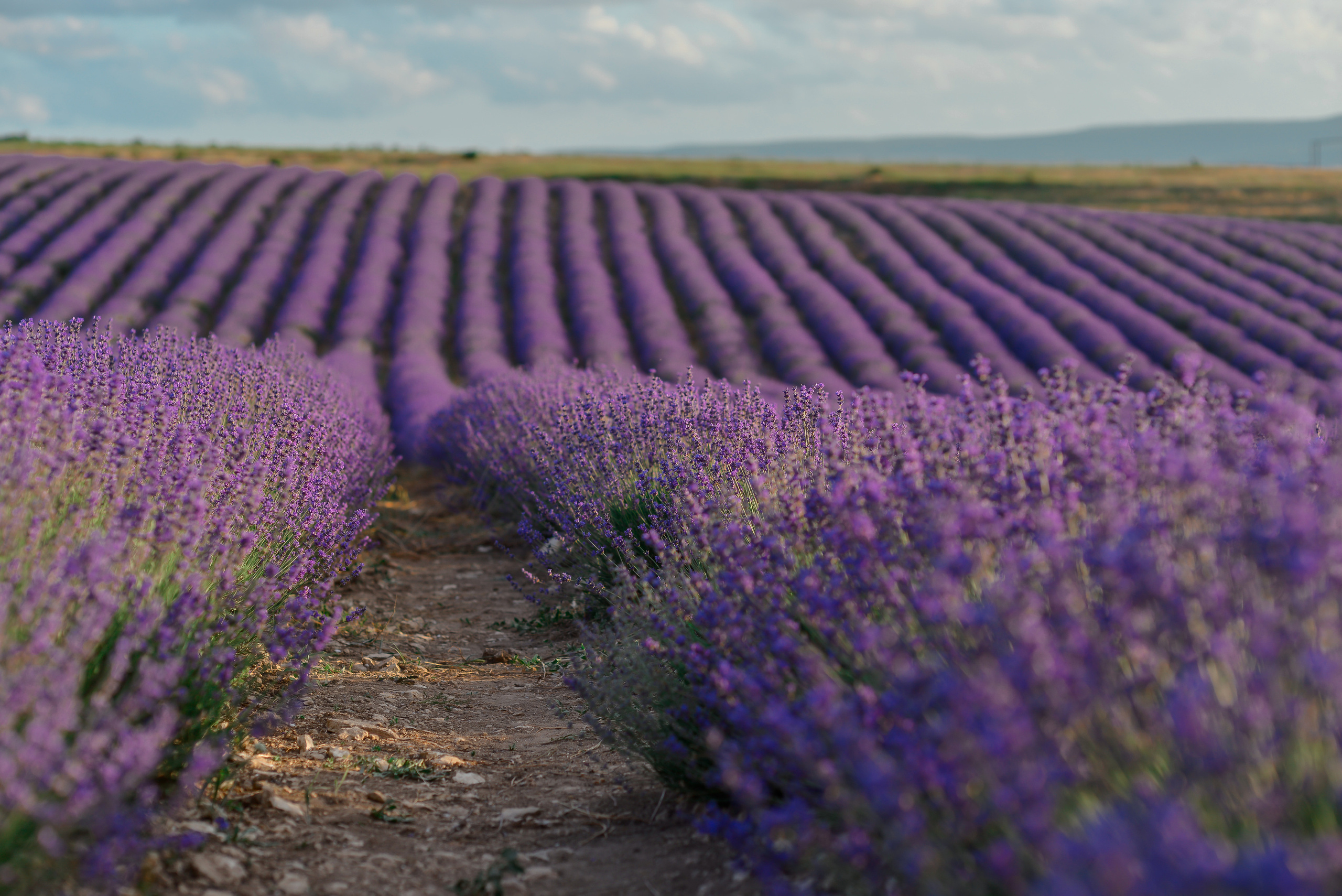 Пейзажи Крыма. Свадебный фотограф в Крыму