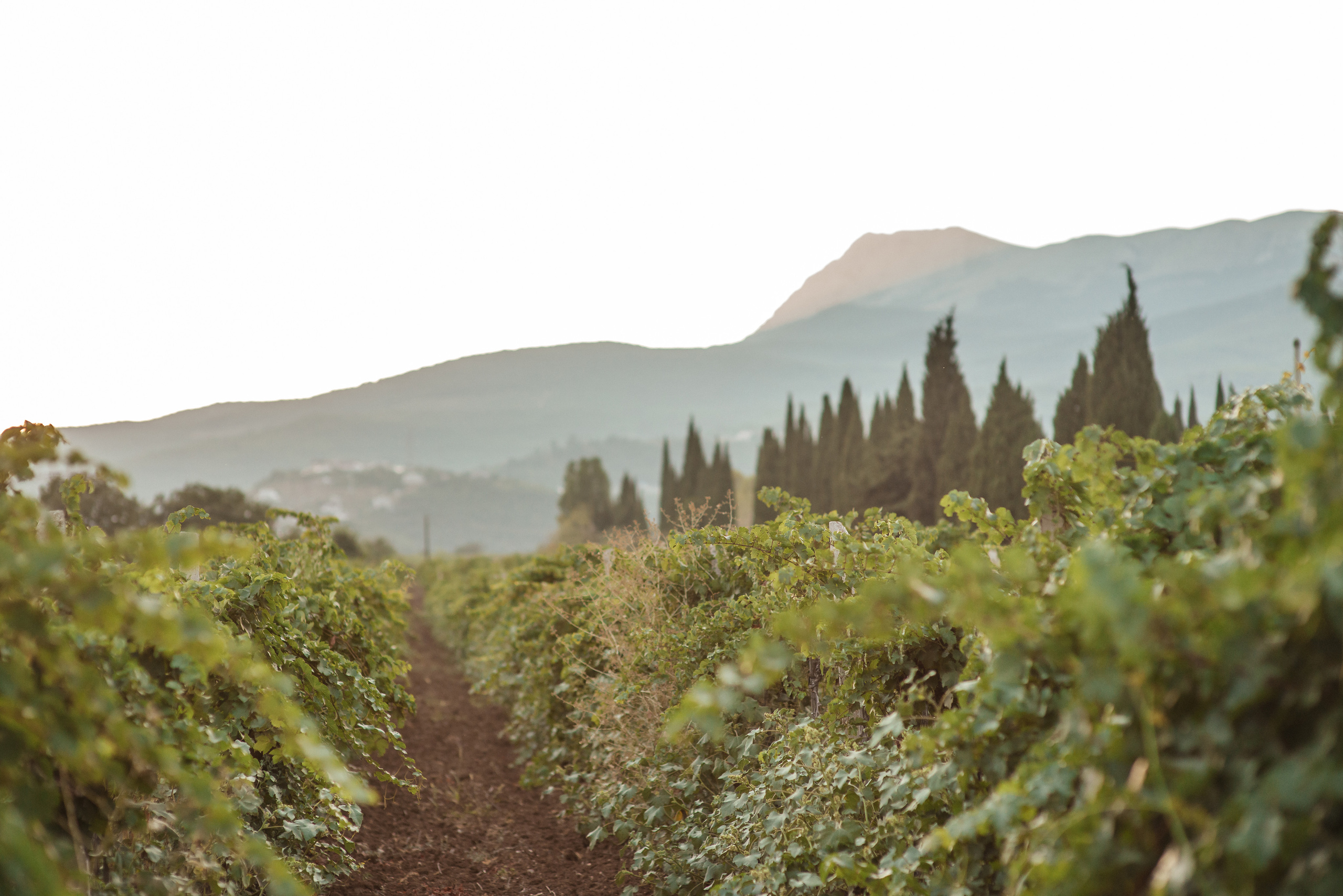 Пейзажи Крыма. Свадебный фотограф в Крыму