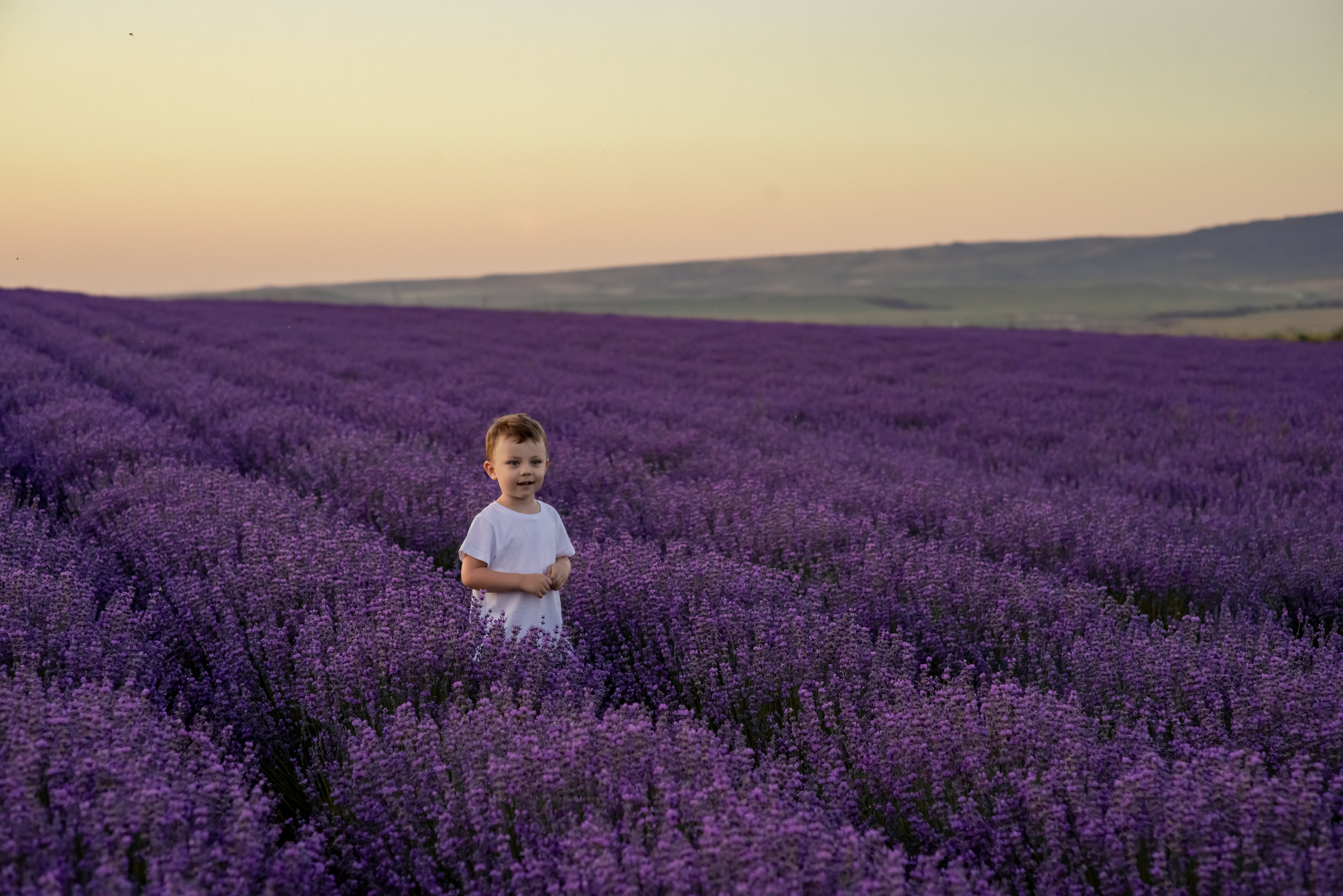 ЛАВАНДА 2022. Свадебный фотограф в Крыму