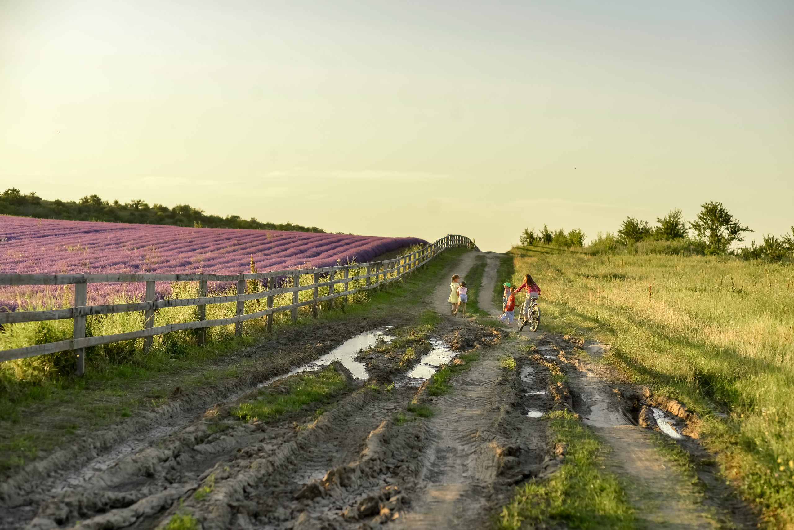 Пейзажи Крыма. Свадебный фотограф в Крыму