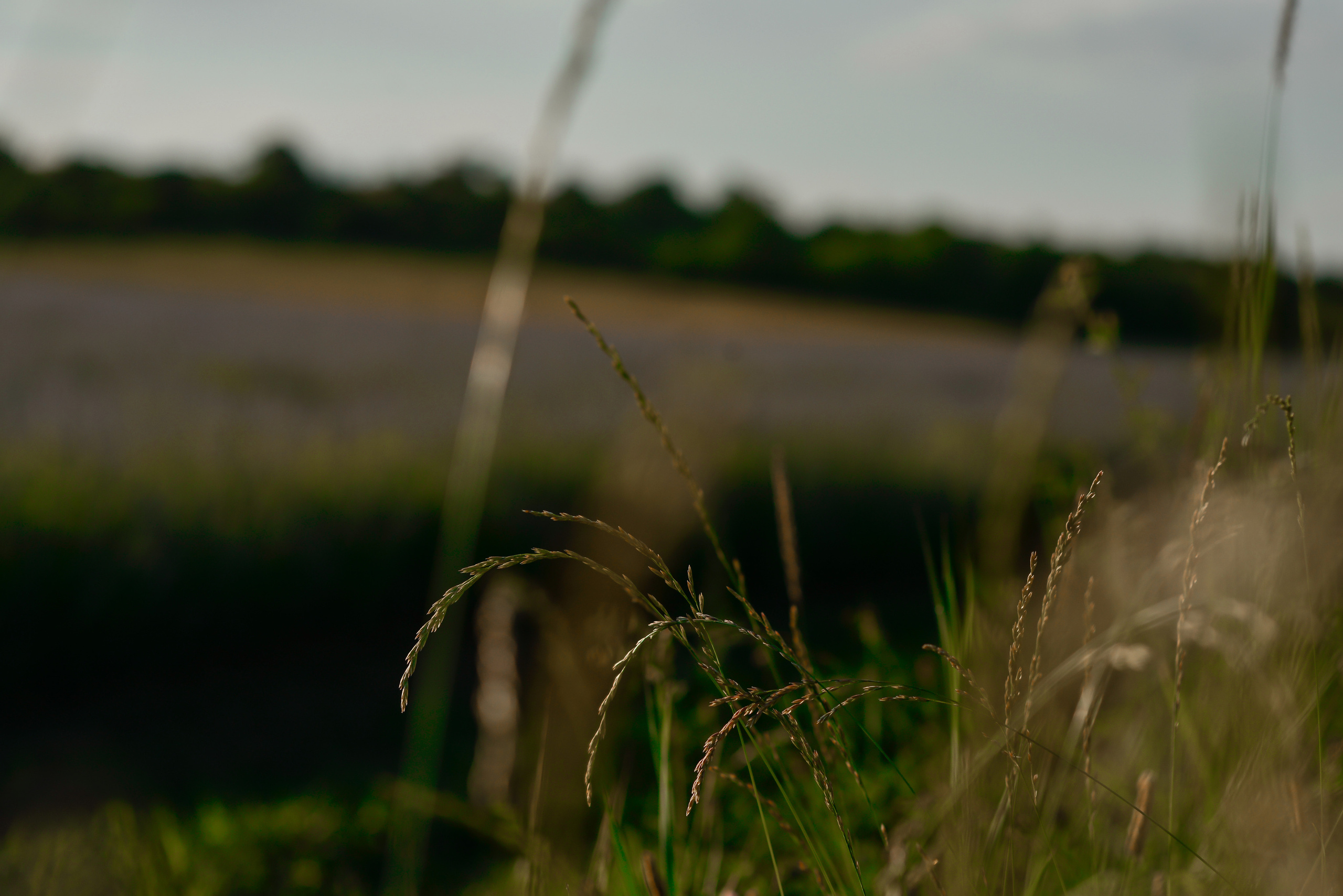 Пейзажи Крыма. Свадебный фотограф в Крыму