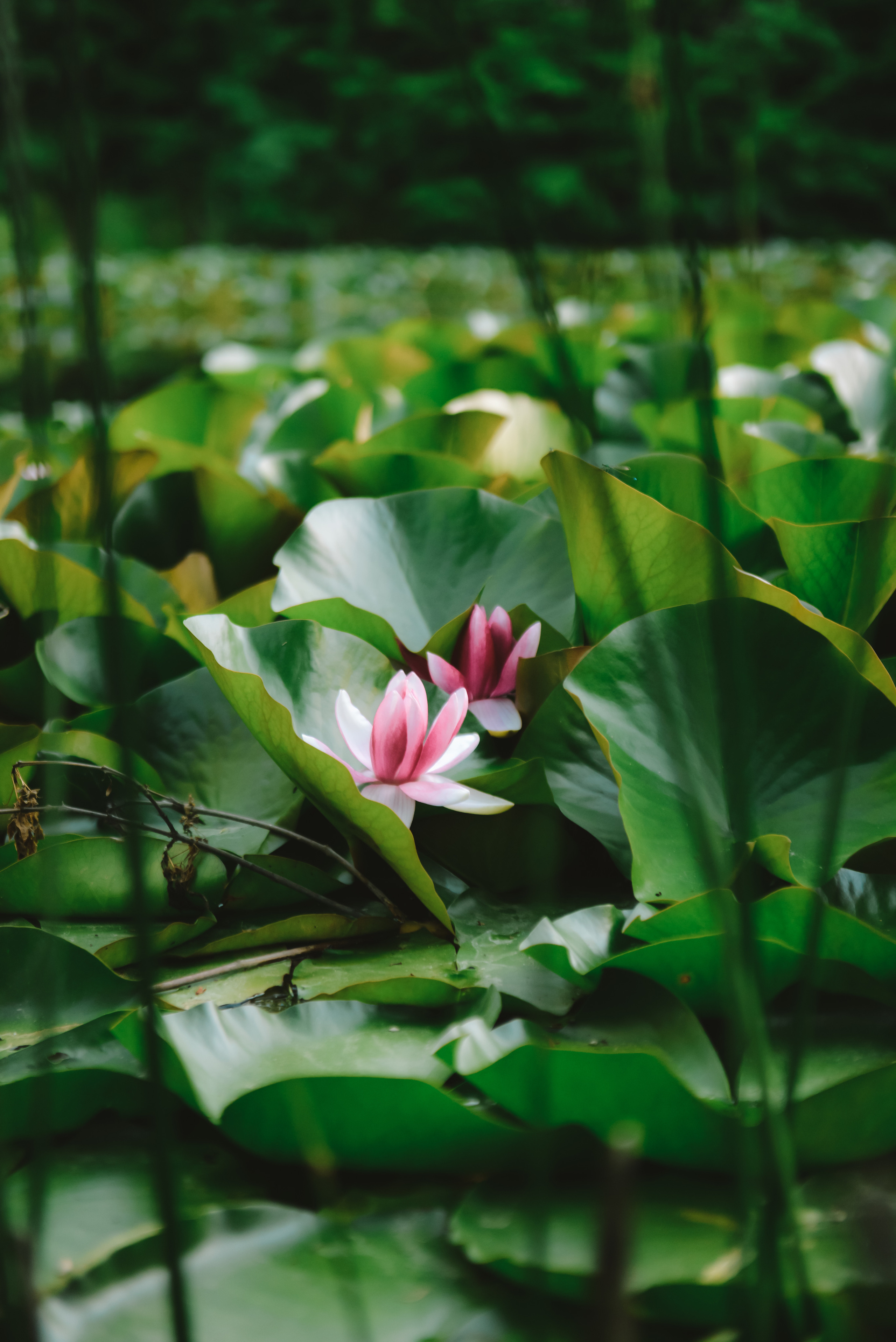 Пейзажи Крыма. Свадебный фотограф в Крыму