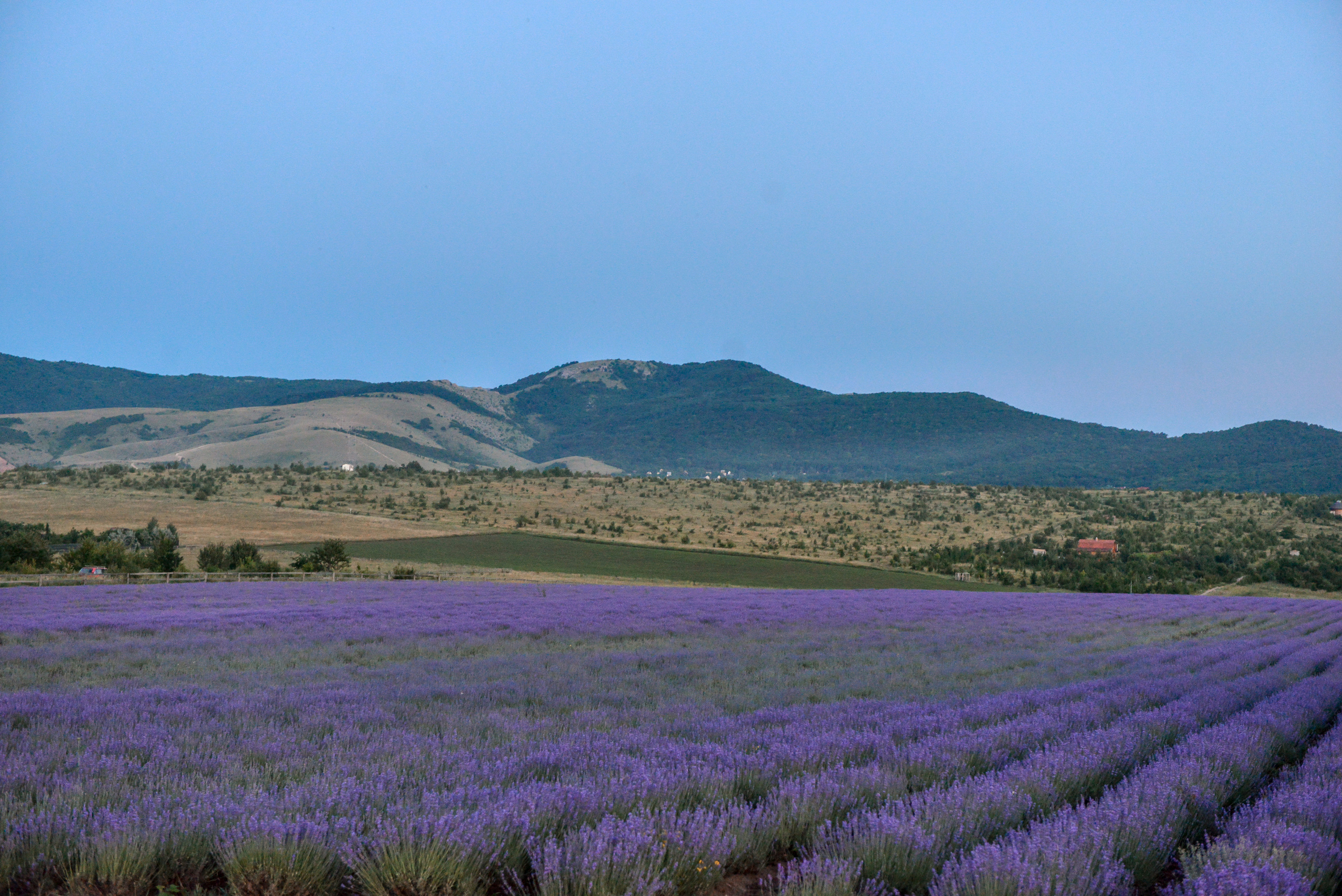 Пейзажи Крыма. Свадебный фотограф в Крыму