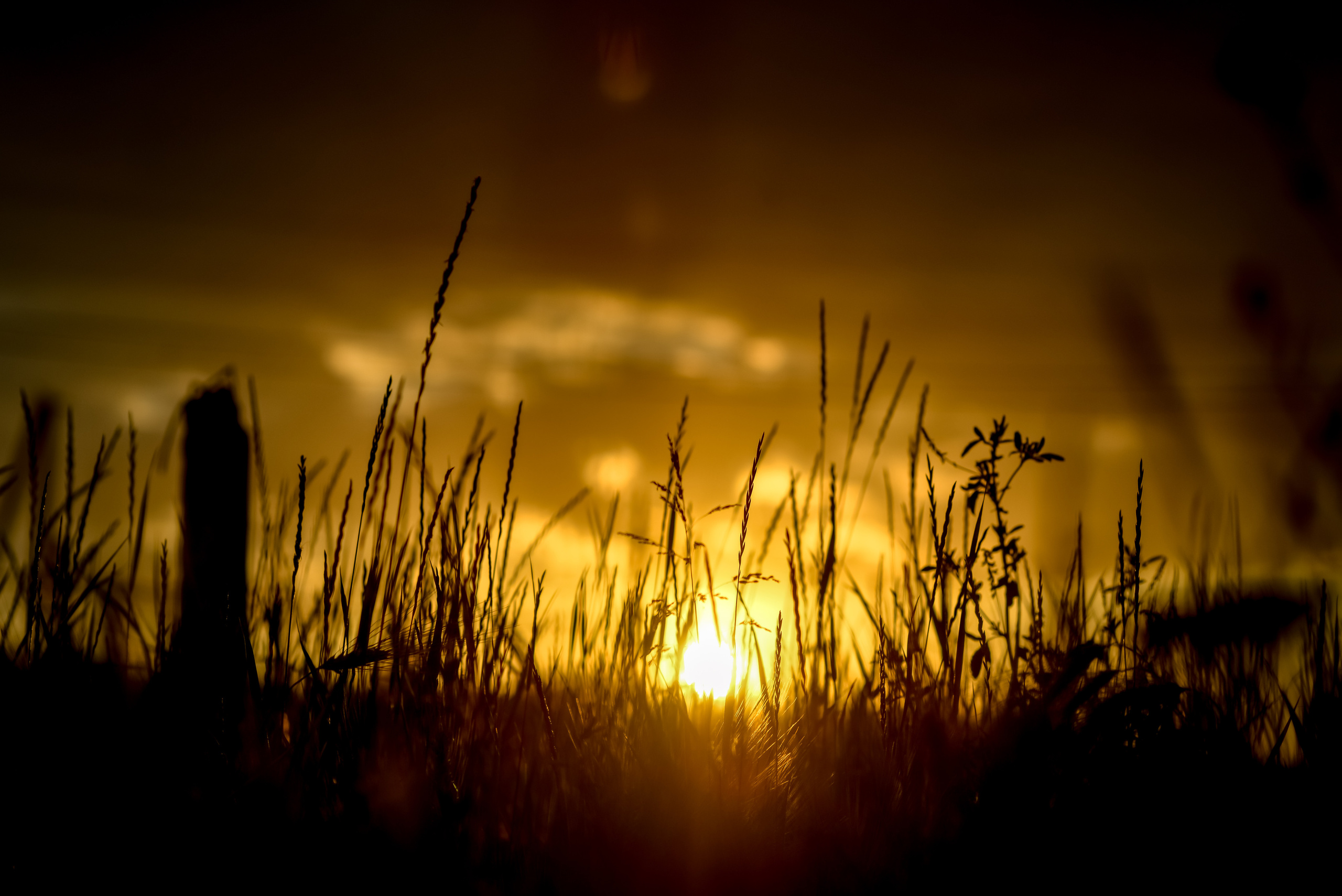 Пейзажи Крыма. Свадебный фотограф в Крыму
