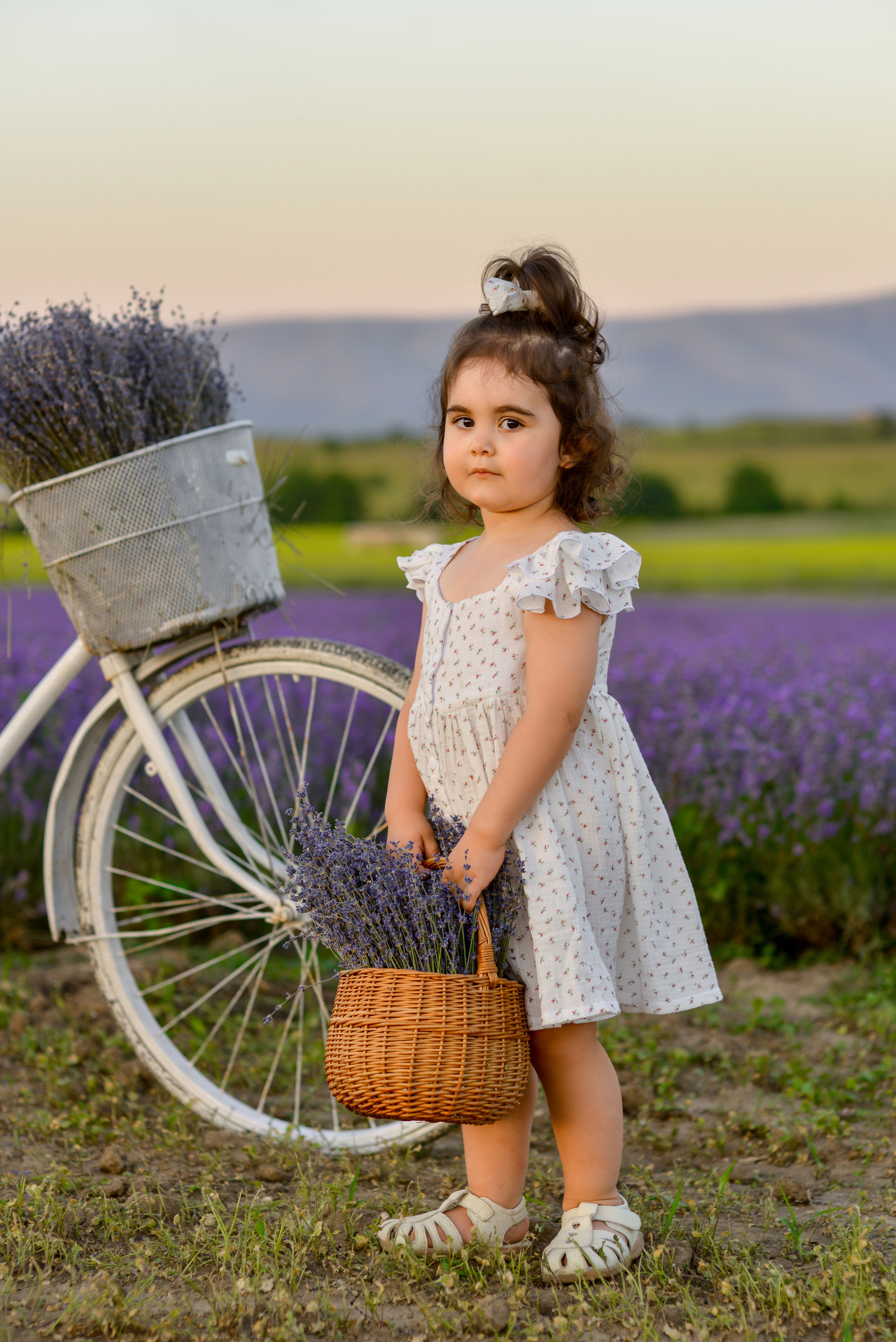 ЛАВАНДА 2022. Свадебный фотограф в Крыму