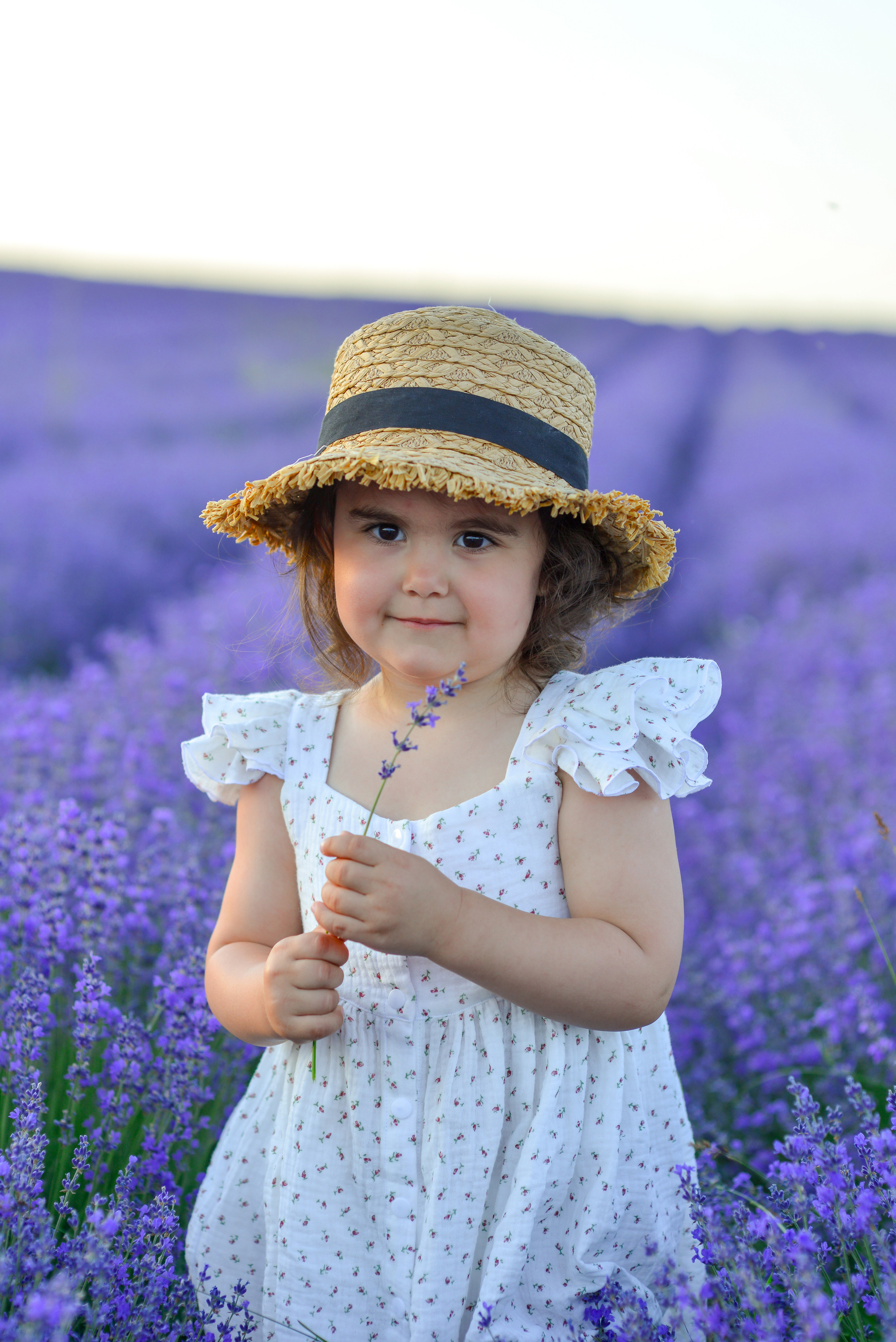 ЛАВАНДА 2022. Свадебный фотограф в Крыму