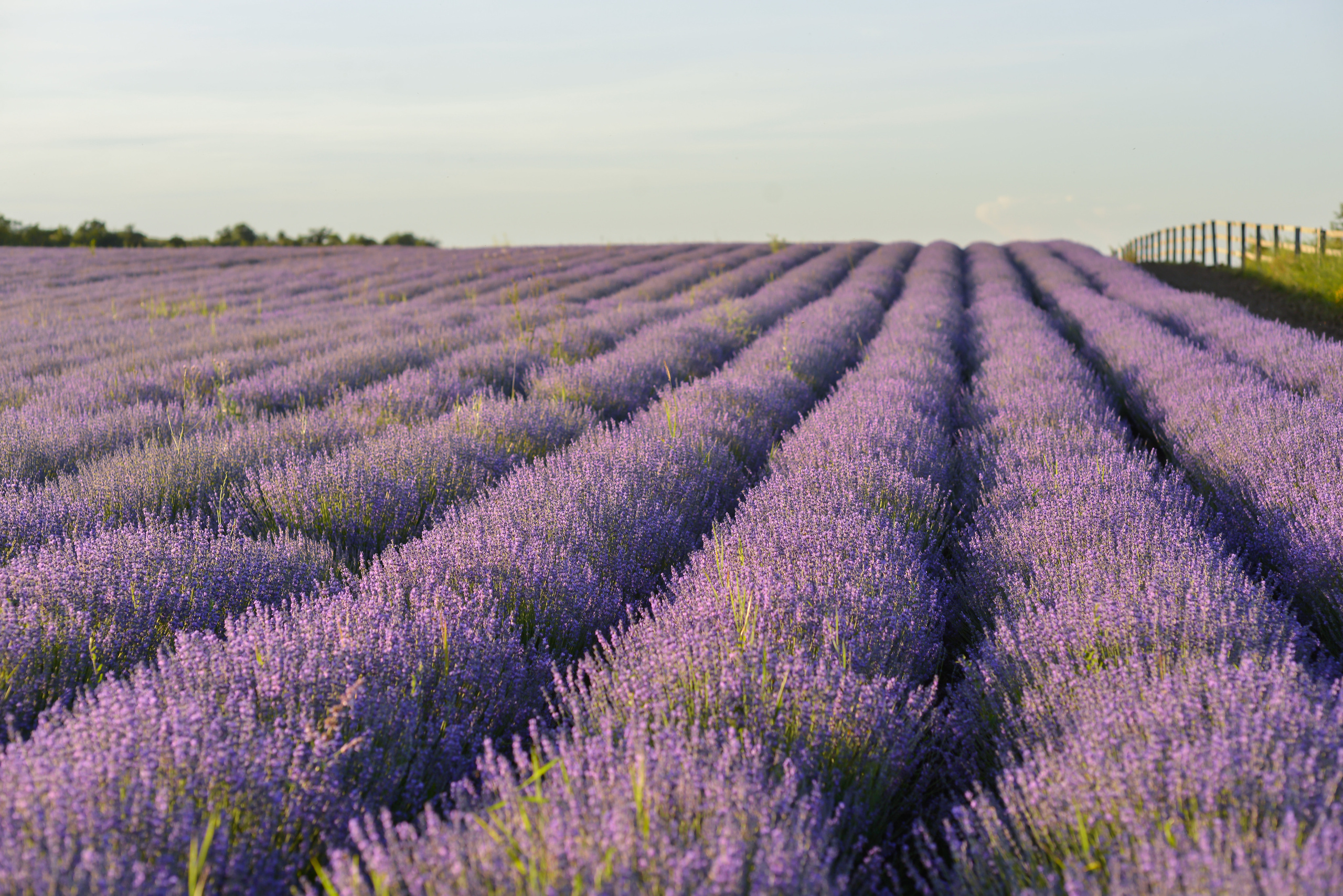 Пейзажи Крыма. Свадебный фотограф в Крыму
