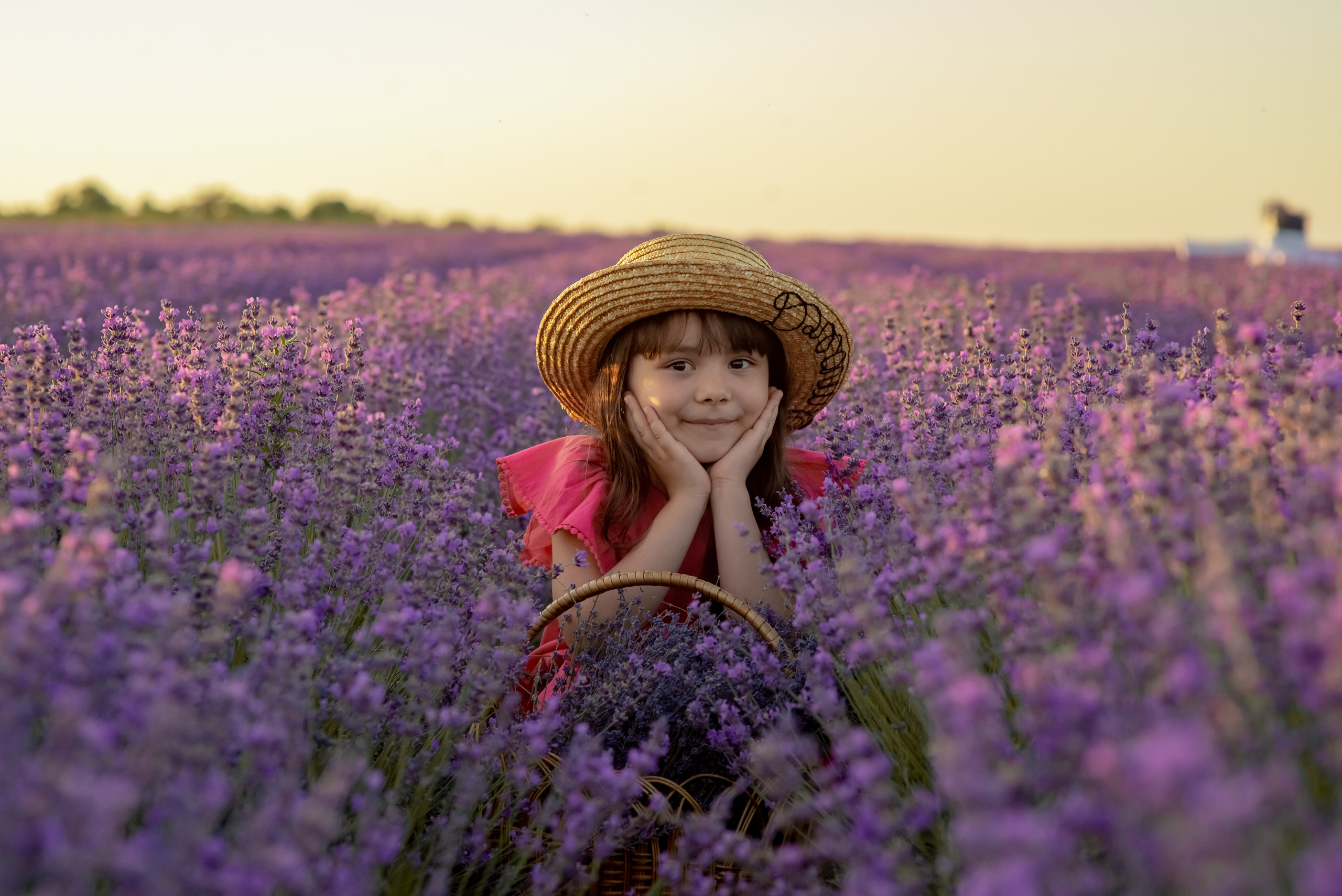 ЛАВАНДА 2022. Свадебный фотограф в Крыму