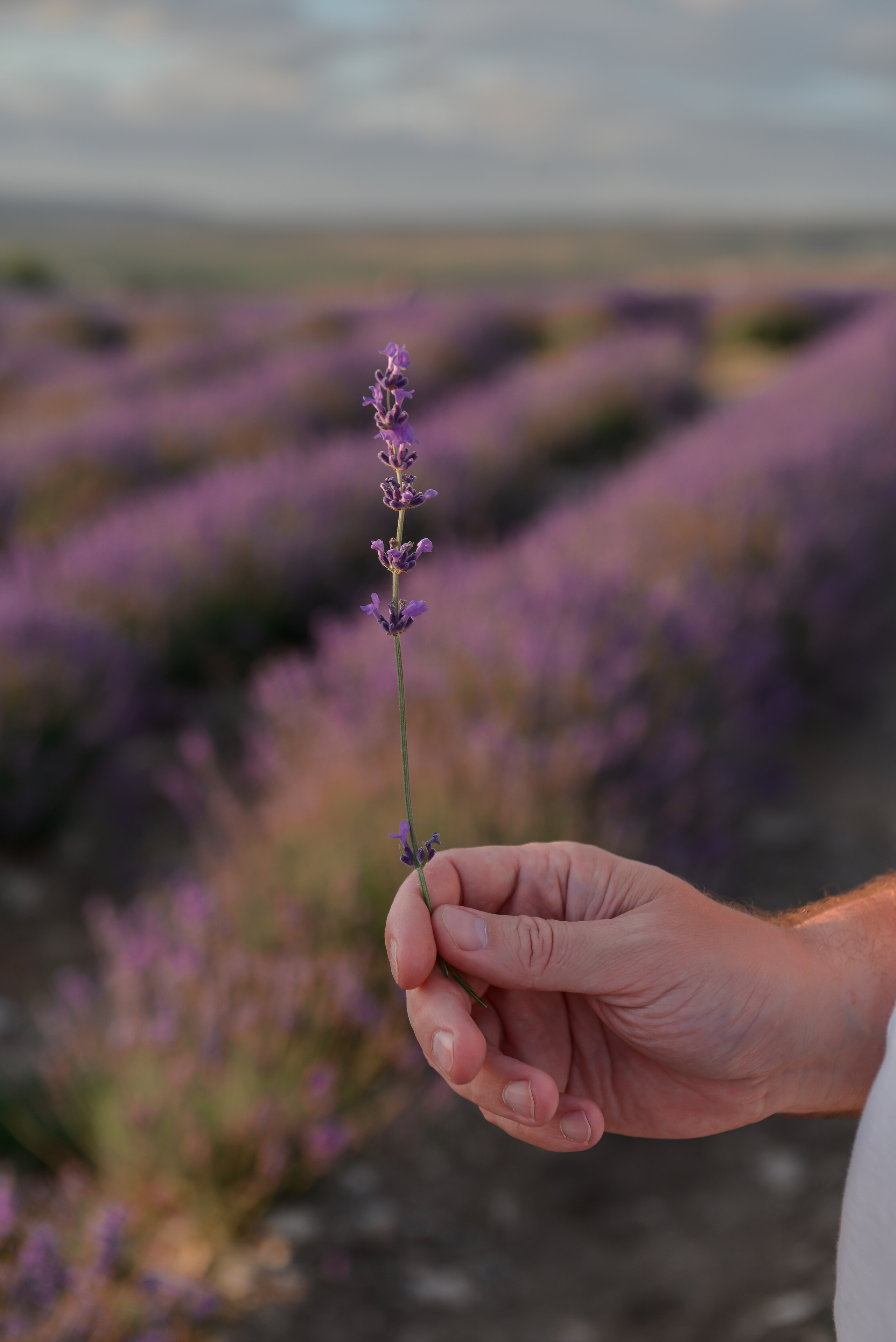 Пейзажи Крыма. Свадебный фотограф в Крыму