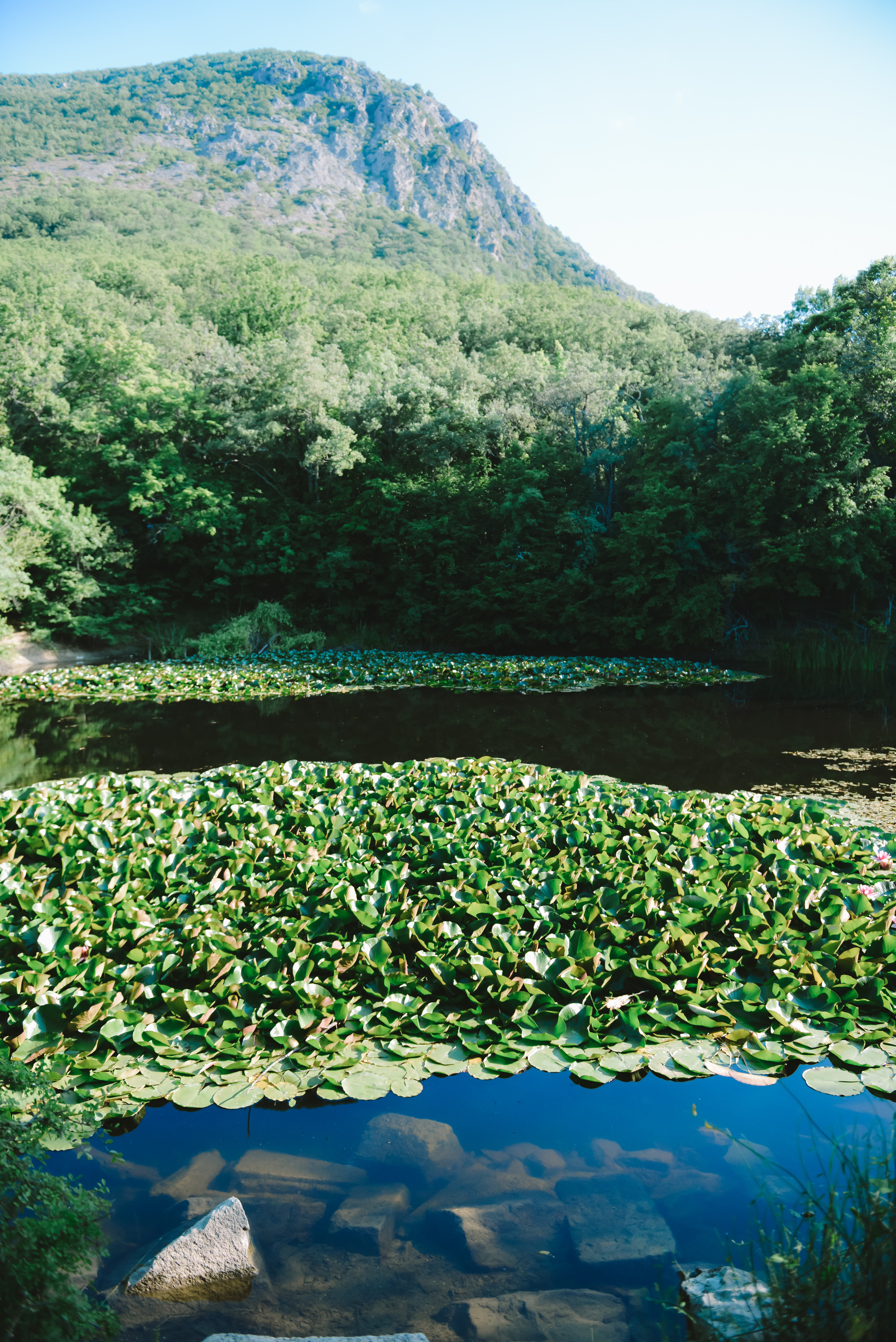 Пейзажи Крыма. Свадебный фотограф в Крыму