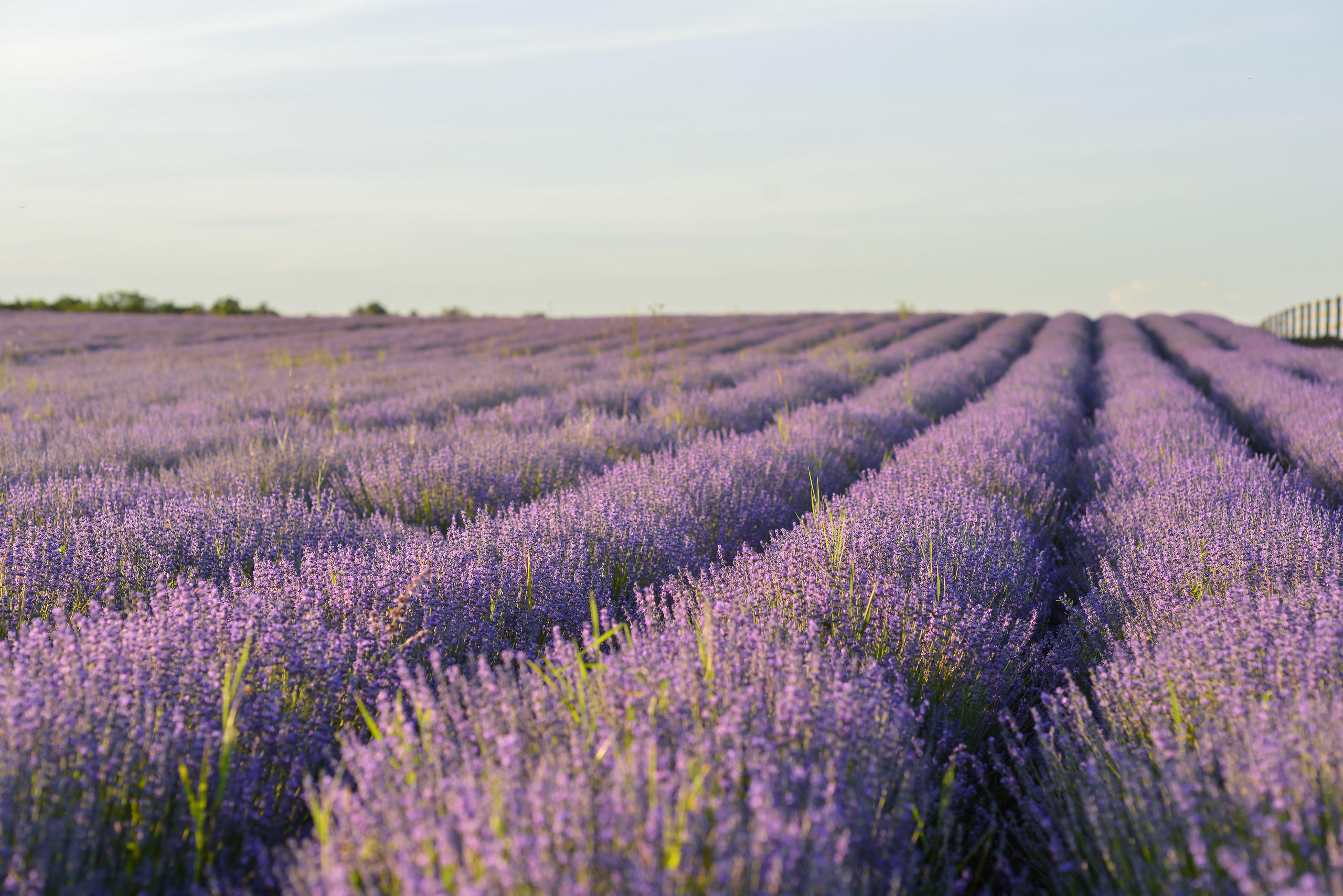 Пейзажи Крыма. Свадебный фотограф в Крыму