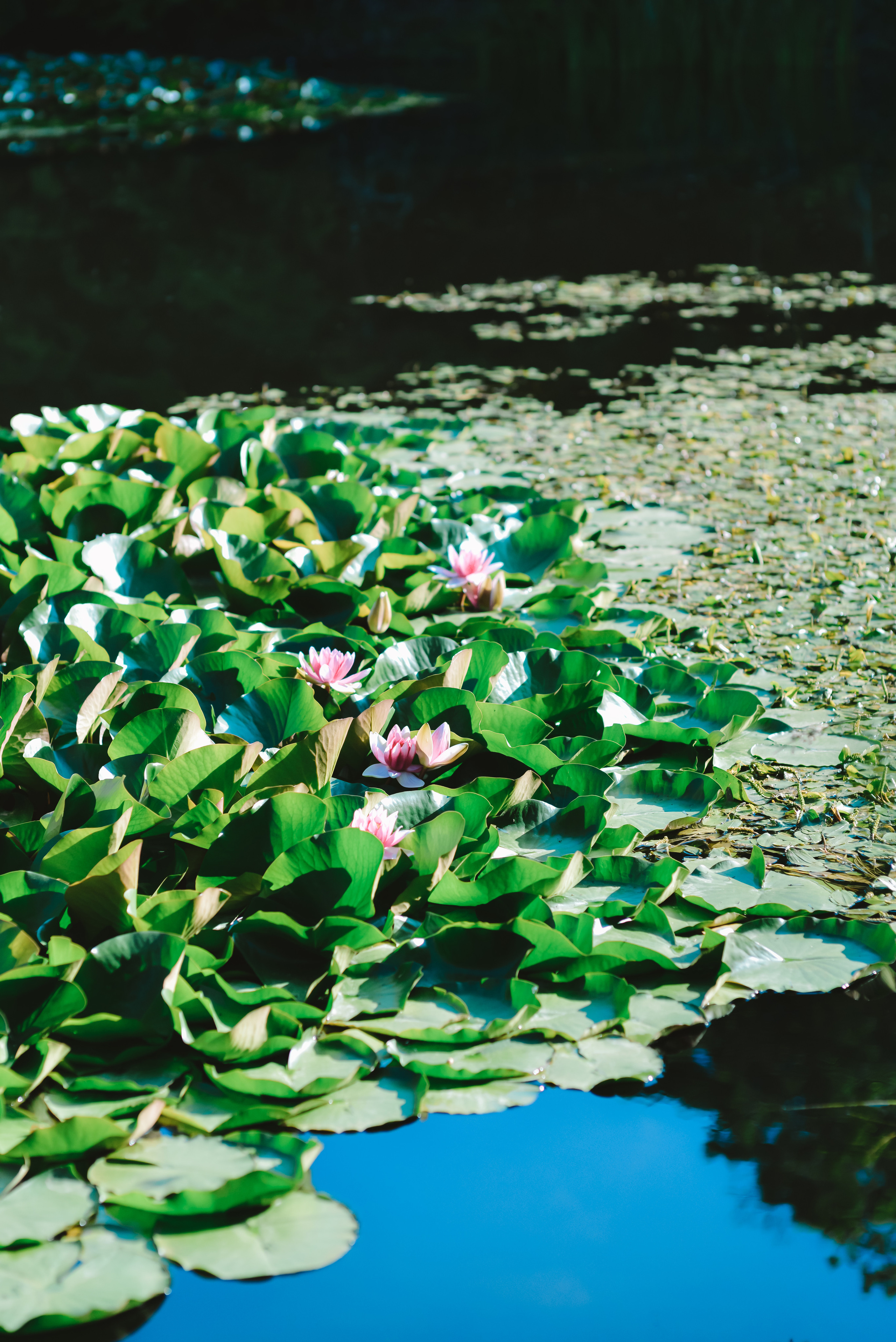 Пейзажи Крыма. Свадебный фотограф в Крыму