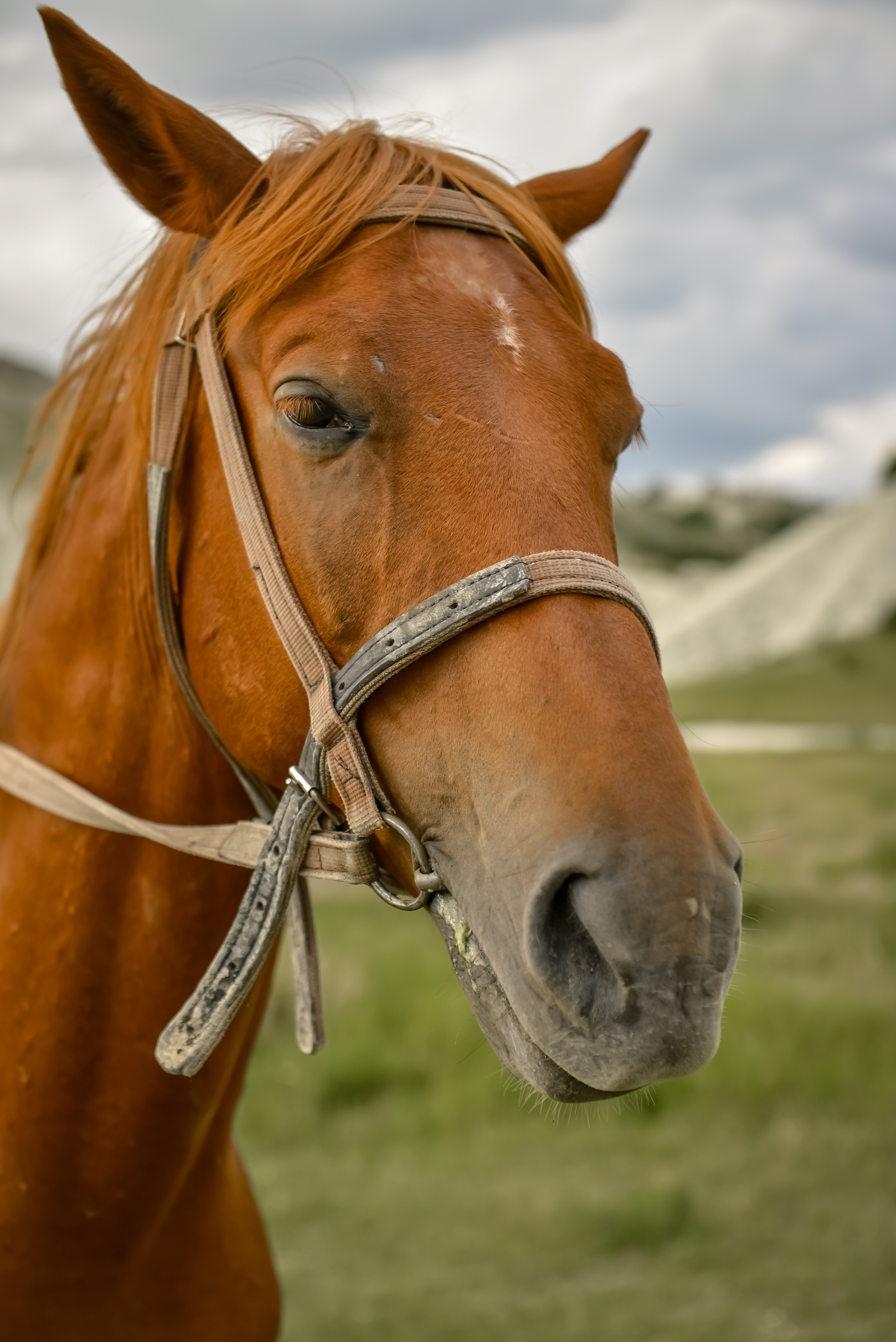 Пейзажи Крыма. Свадебный фотограф в Крыму