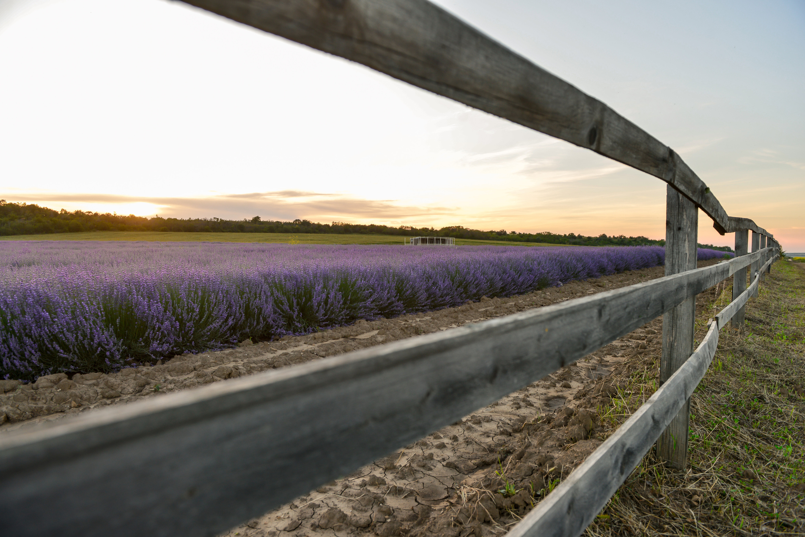 Пейзажи Крыма. Свадебный фотограф в Крыму