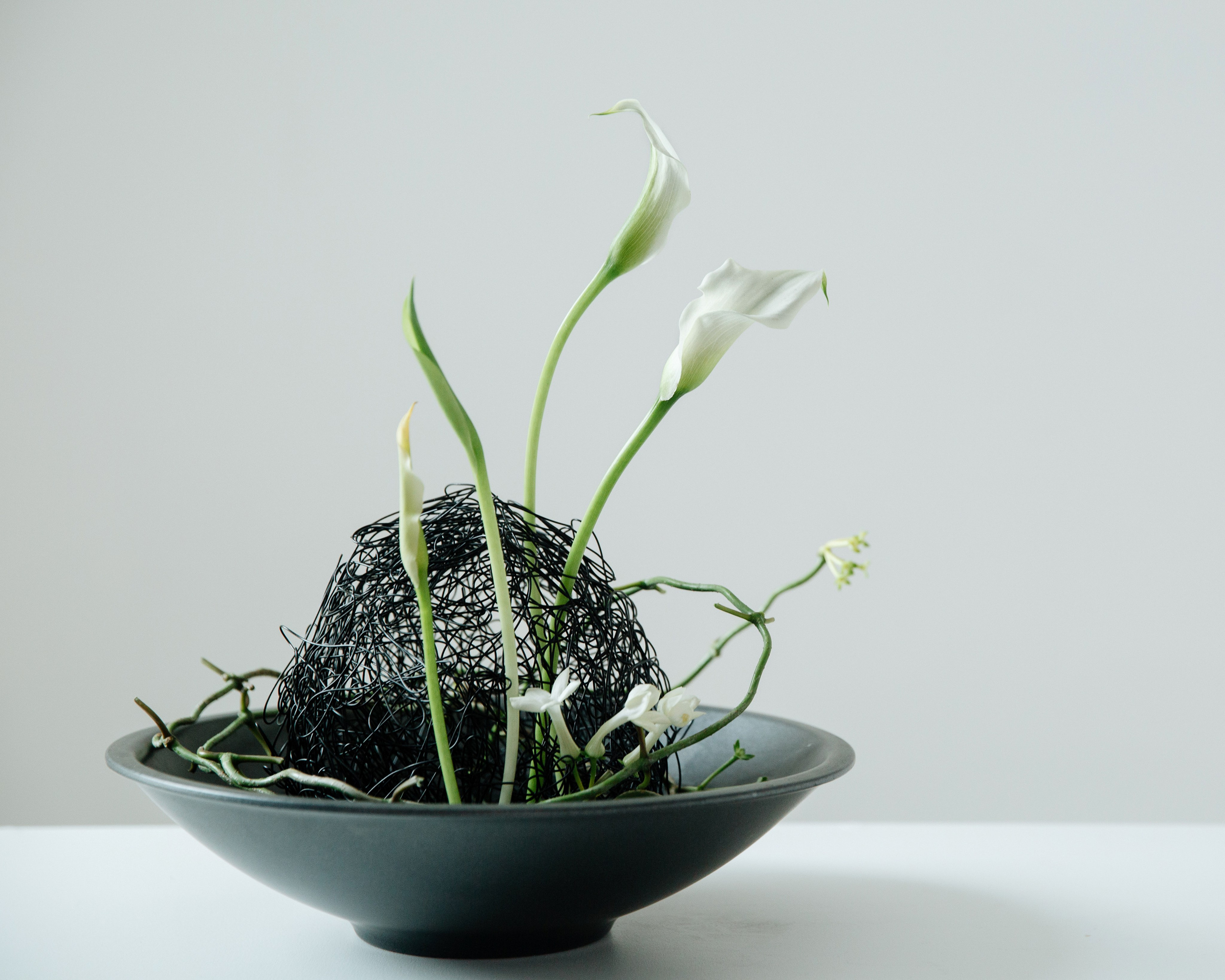 Denis. Lena Sorokina photographer, Astana, Kazakhstan