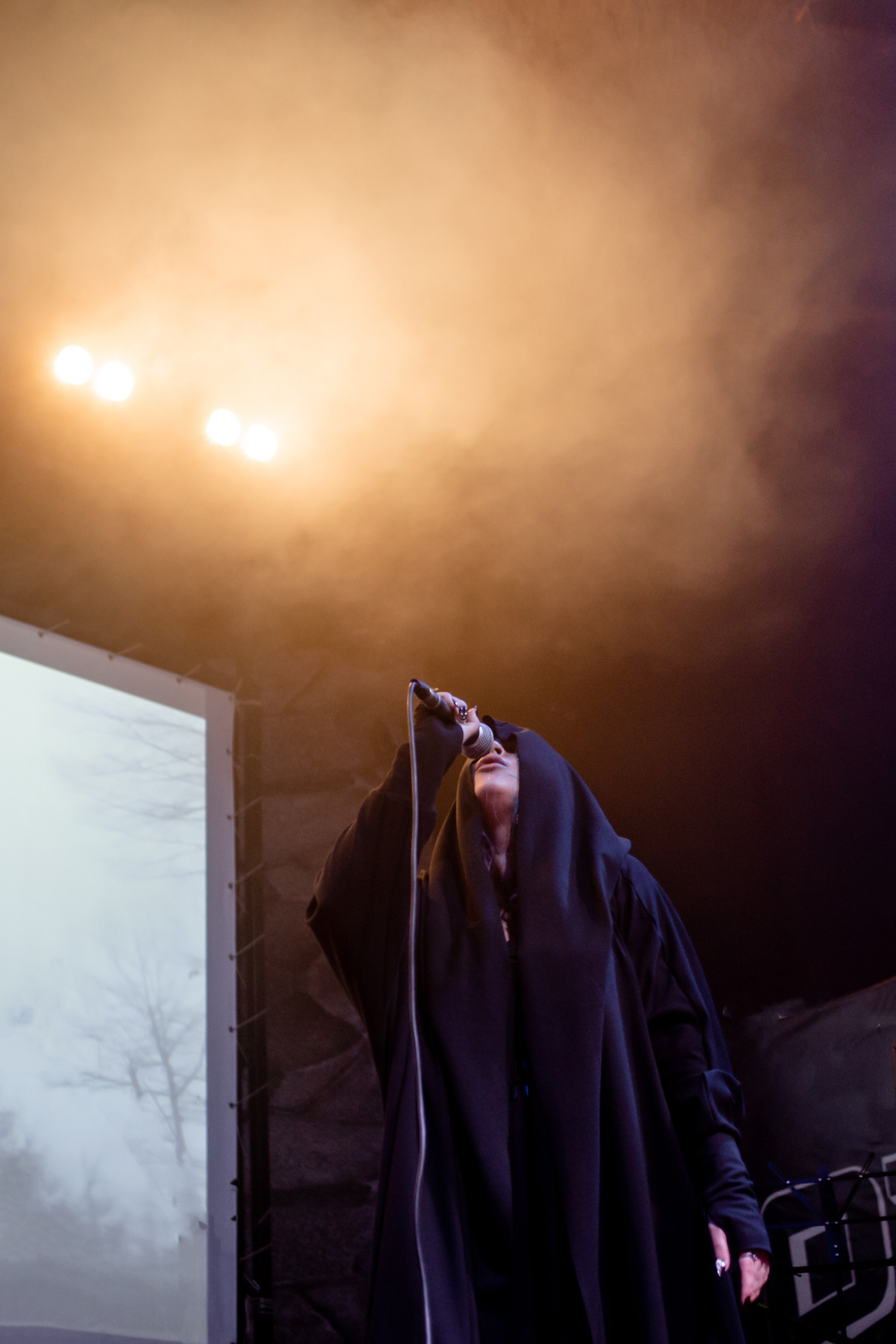 Agnivaib 2025 Ozz. Фотограф в Челябинске Ополихина Анна