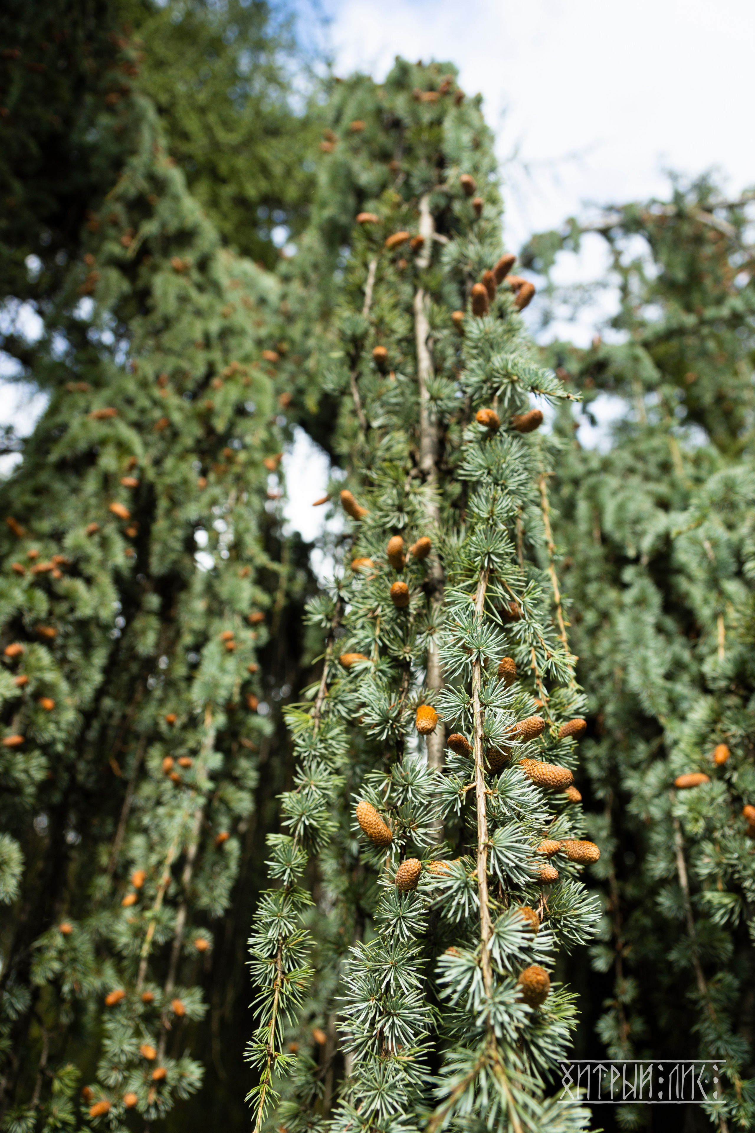 Крым. Фотограф-путешественник Самойлов Максим «Sly Fox»