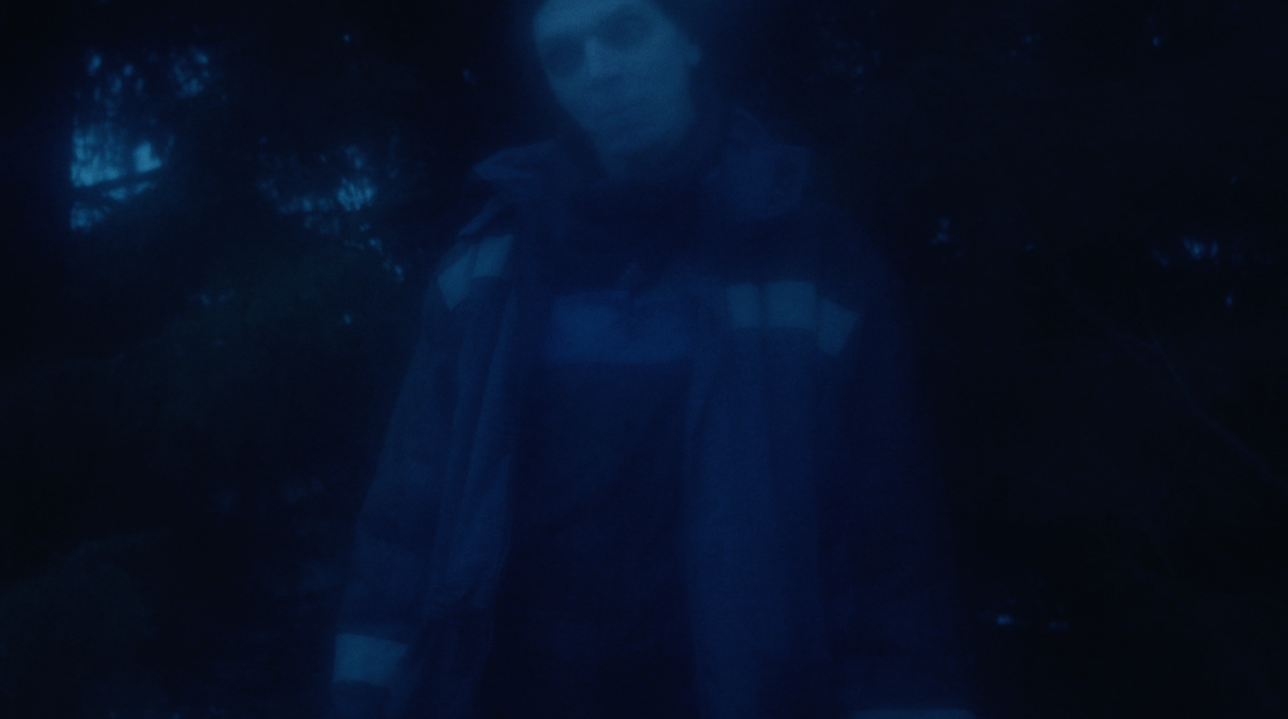 If you become human, who will swim for you. Tokcolor