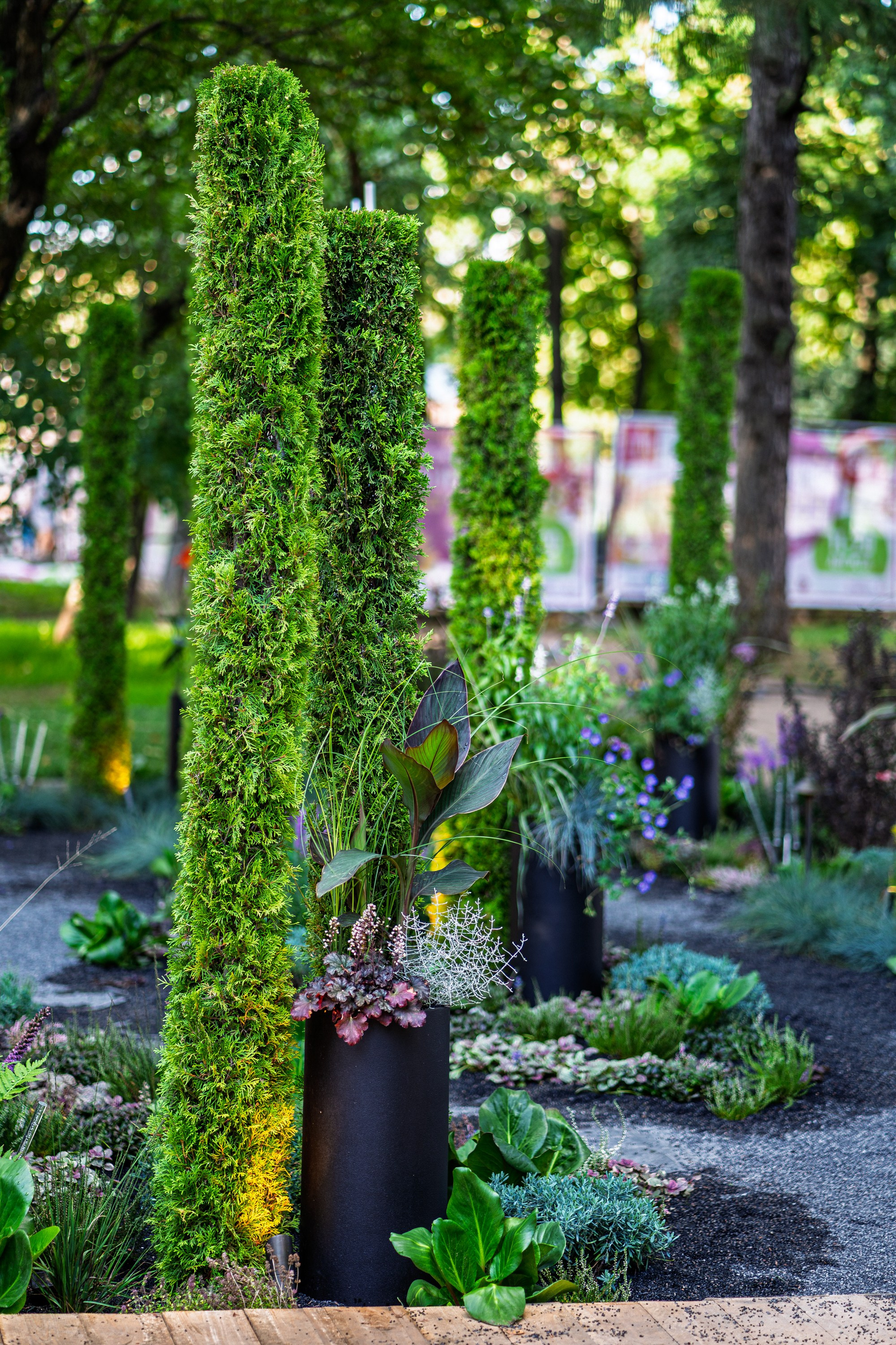 Сад Плеяд. Студия ландшафтного дизайна в Москве. Love My Garden