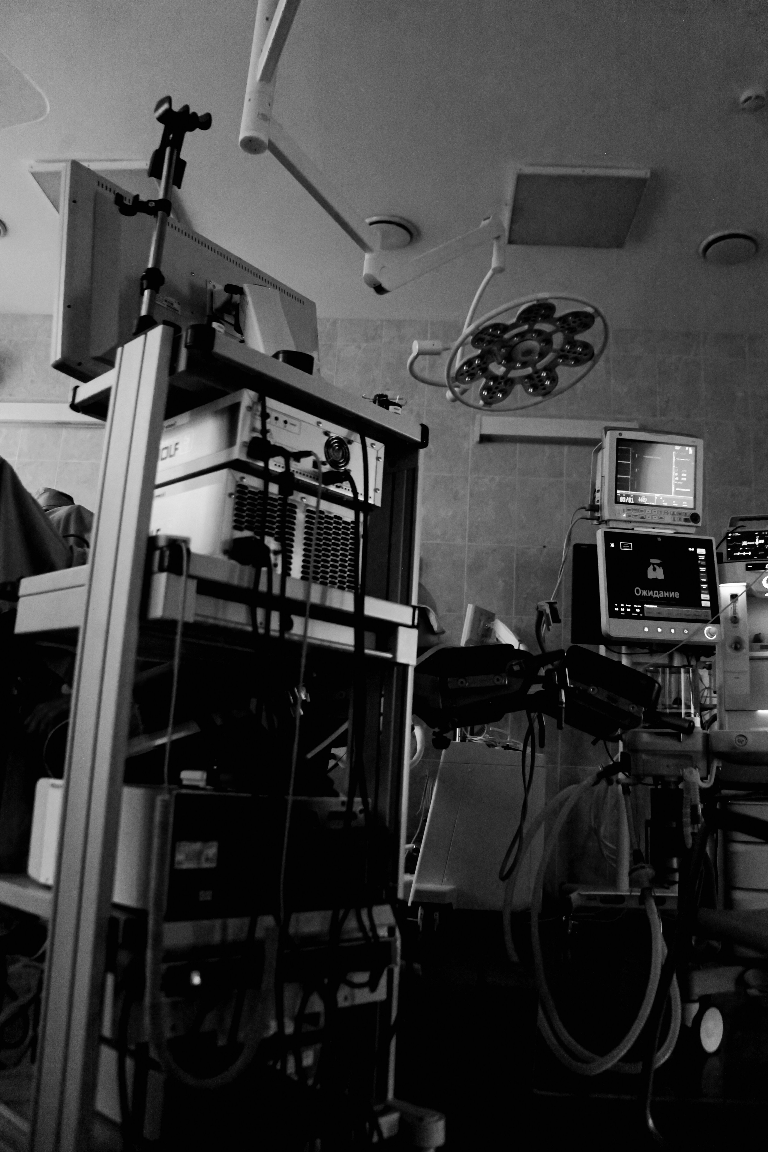 РУЦЭЛТ. Пушкарь Валерия Фотограф Москва/Зеленоград