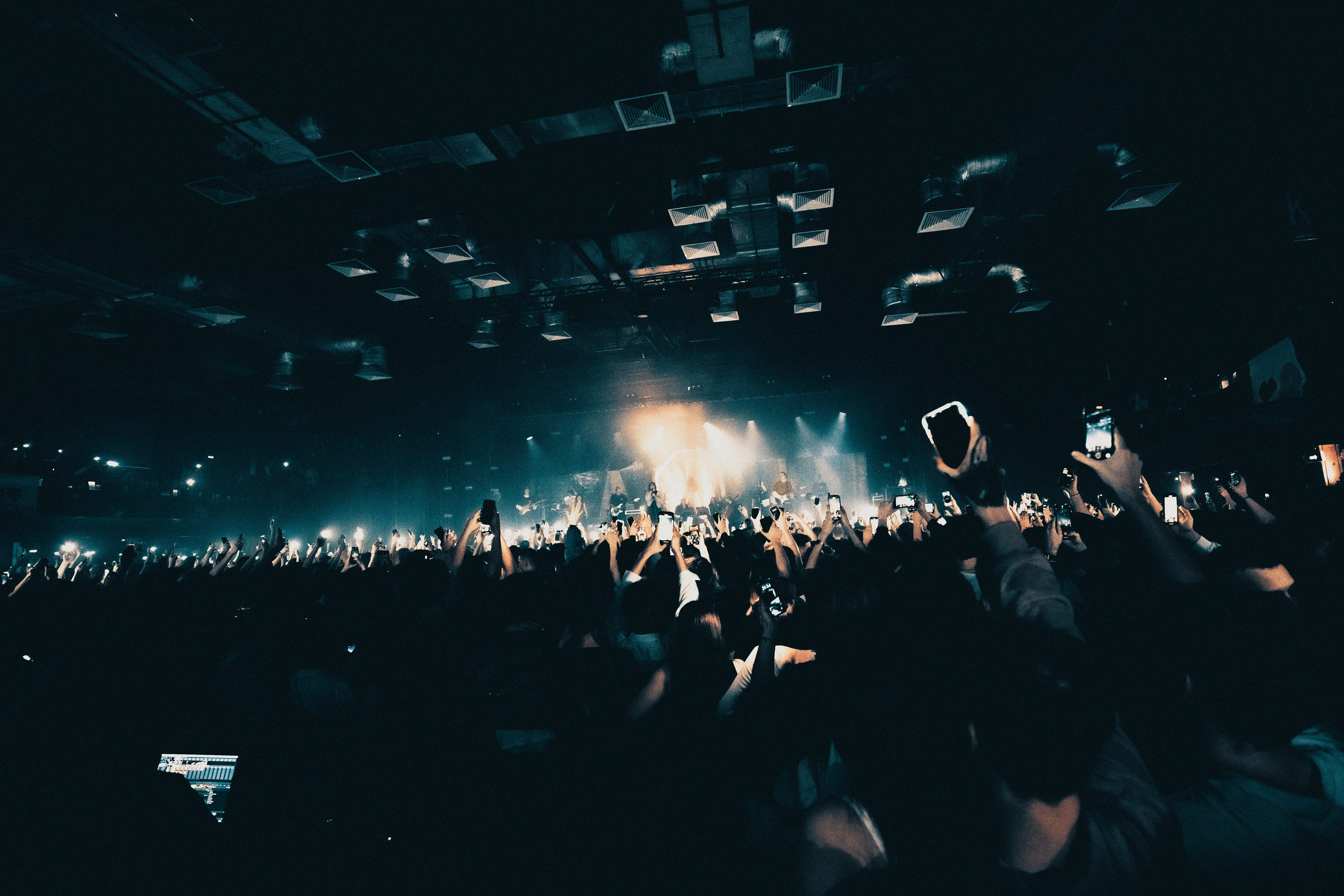 SALUKI. PASHAHARCE PHOTOGRAPHER & VIDEOGRAPHER