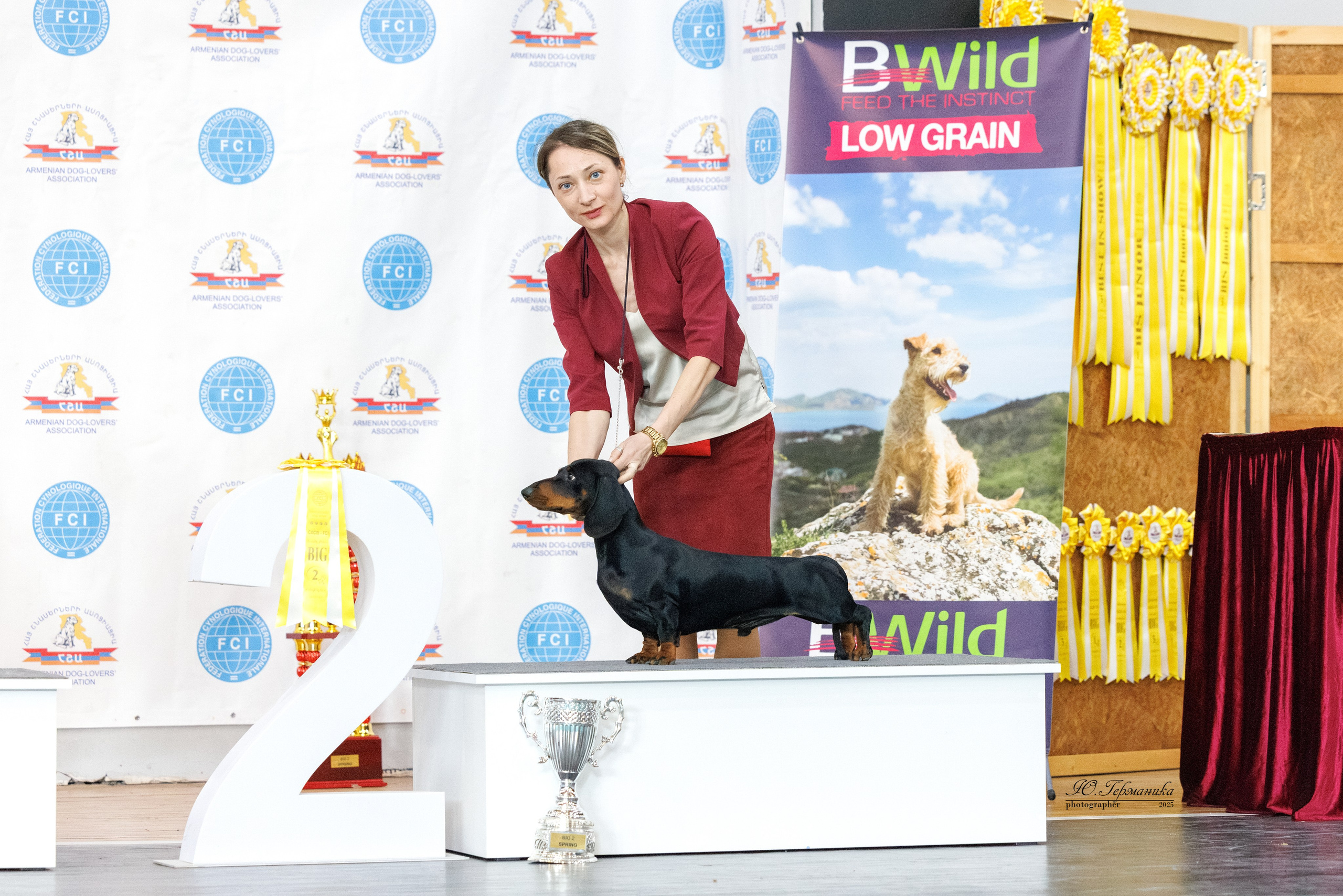 Ереван 2х CACIB 29-30.04.2025. Фотограф-анималист Юлия Германика