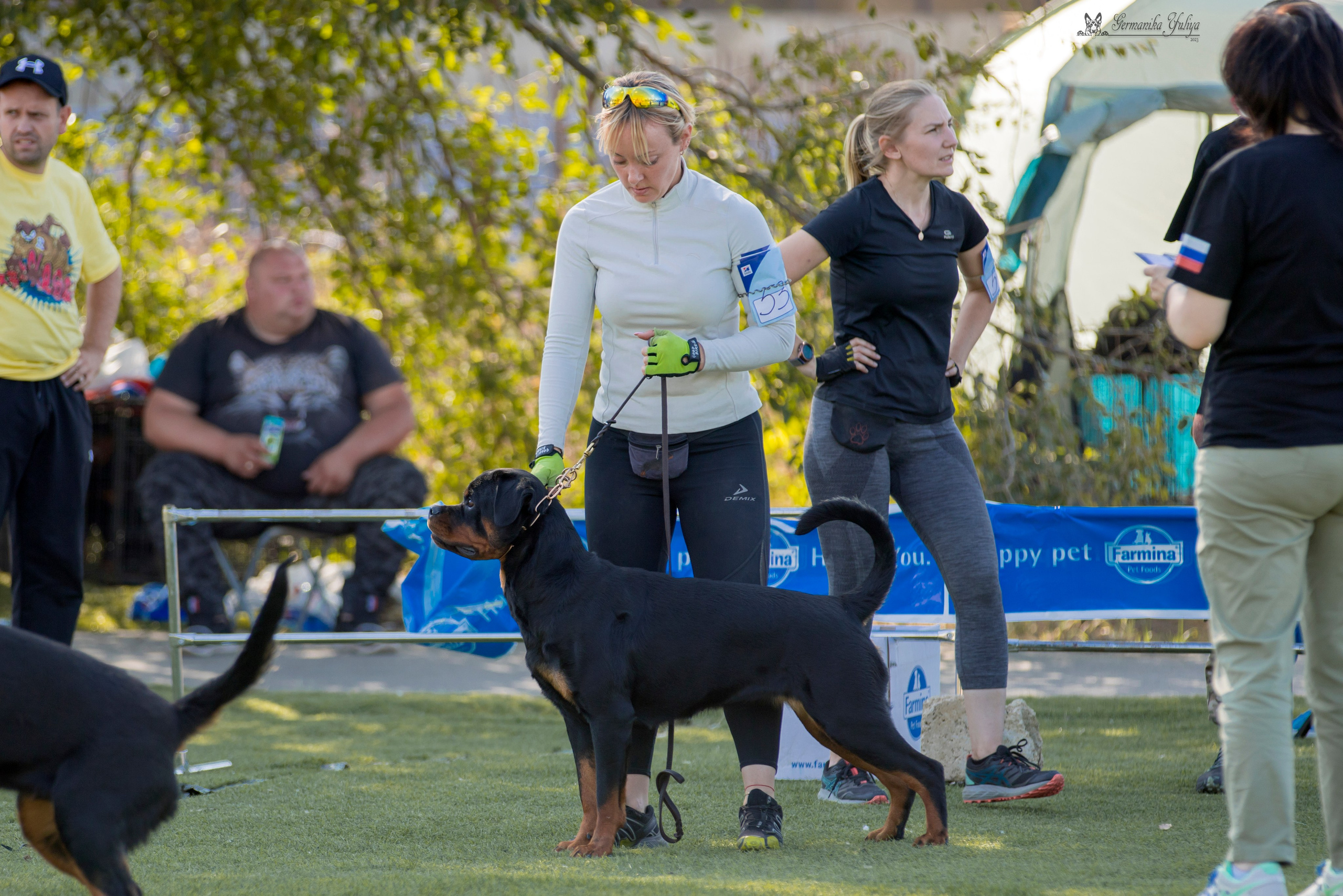 Анапа 16-17.09.2023 моно ротвейлеров. Фотограф-анималист Юлия Германика