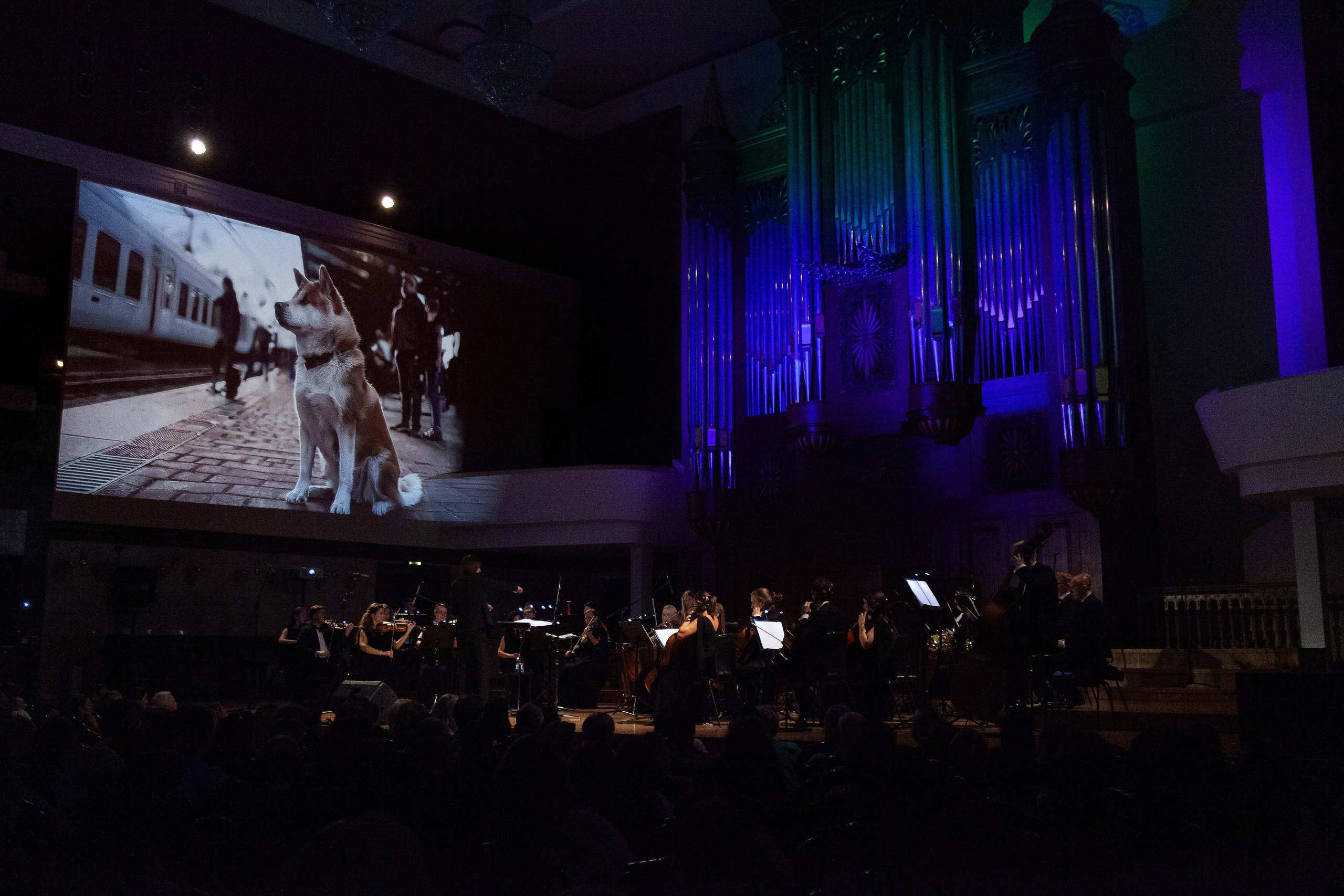Оркестр ЦСМ им. С. Губайдулиной. Мировой Кинематограф.25.09.24. Профессиональное фото в Казани: от идеи до результата. Фотограф Яна Мур