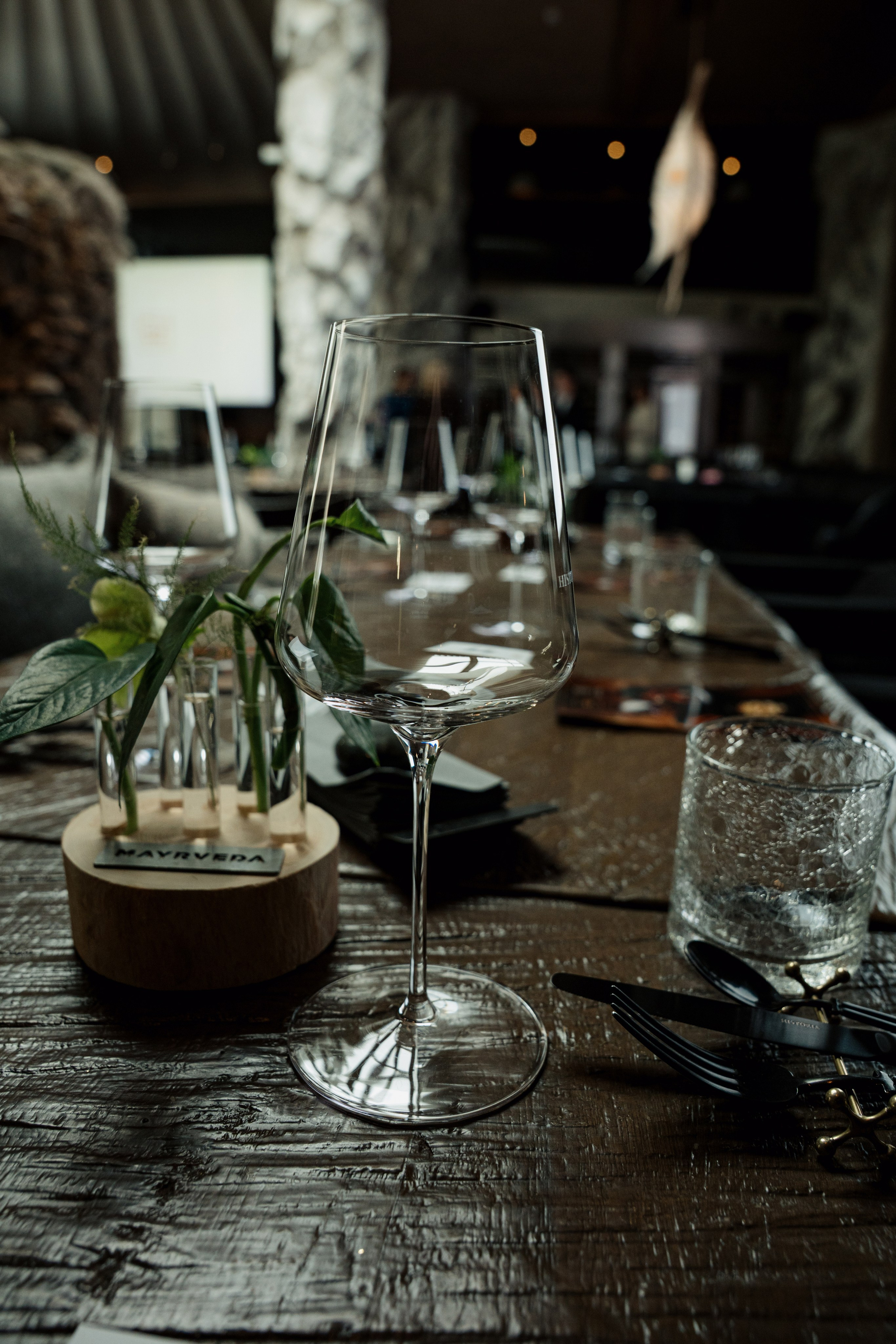 MAYR VEDA. Yankovski_001